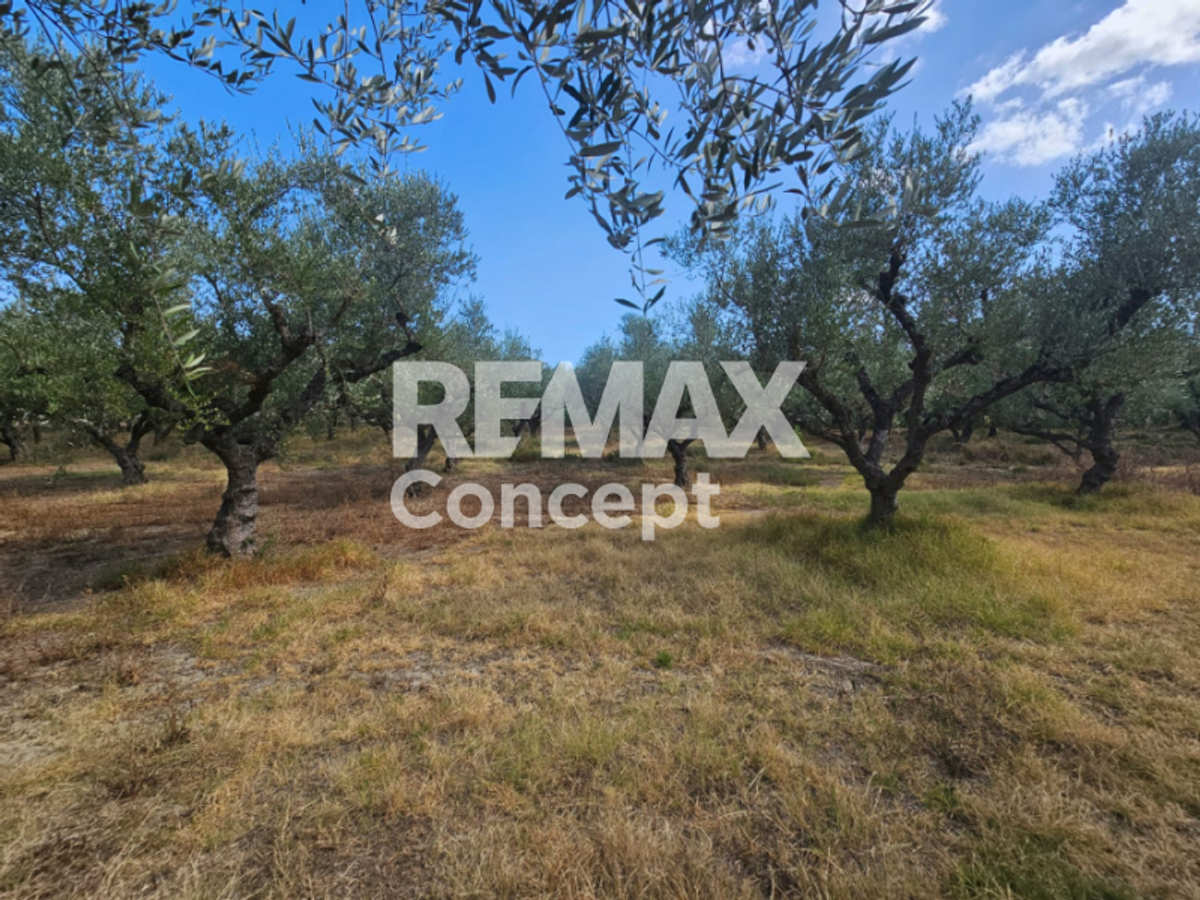Property thumbnail 4