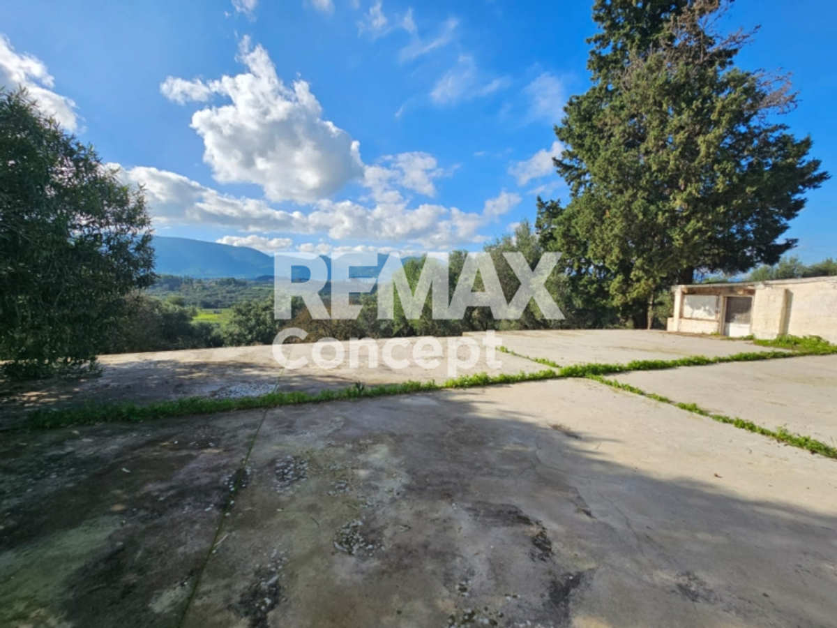 Property thumbnail 3