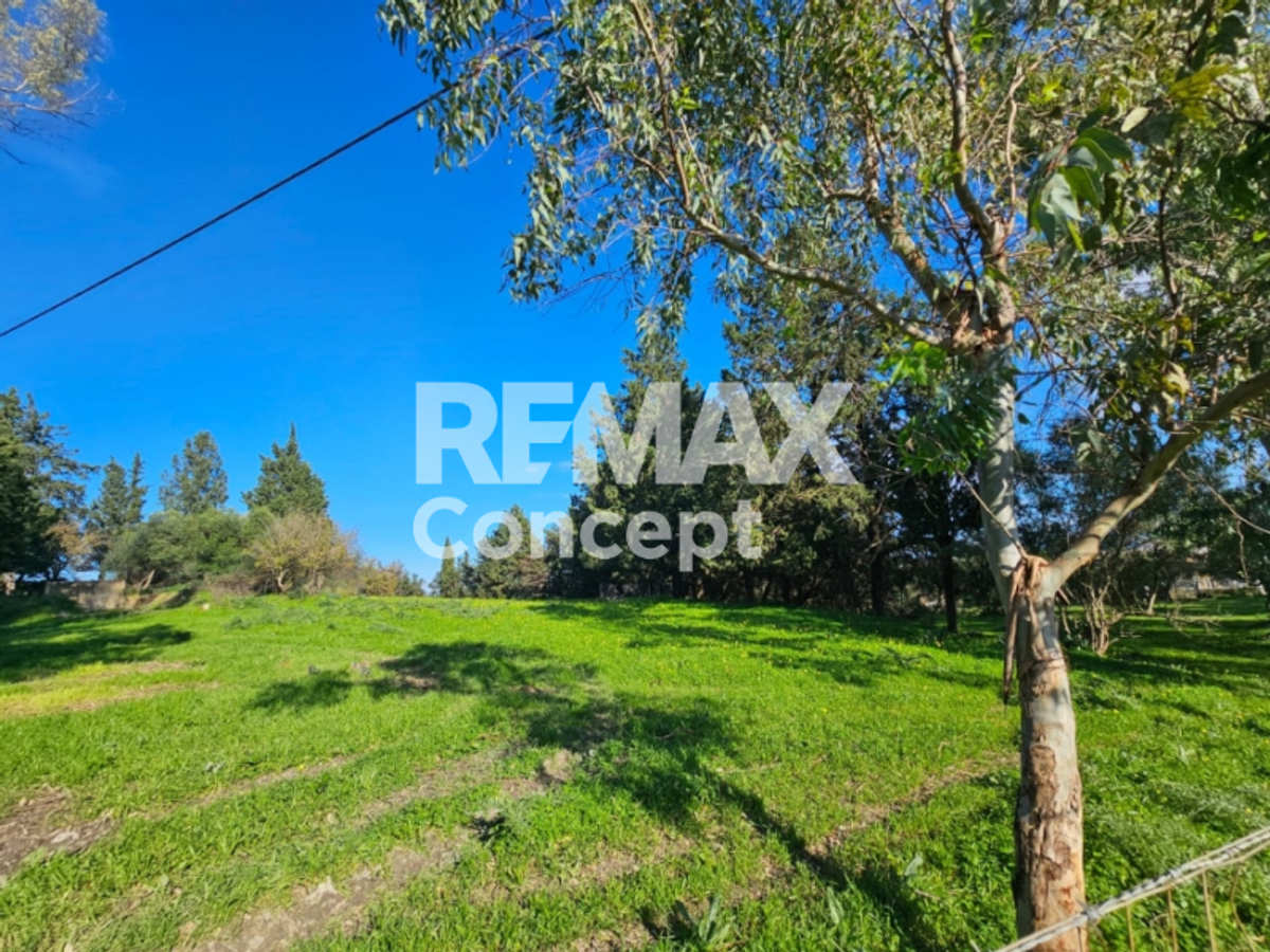 Property thumbnail 4
