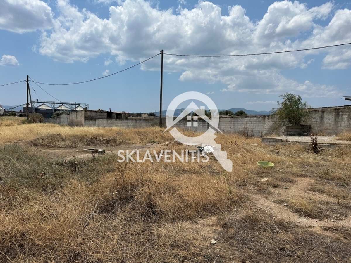 Property thumbnail 3