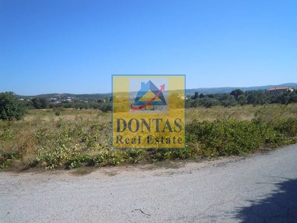 Property thumbnail 3
