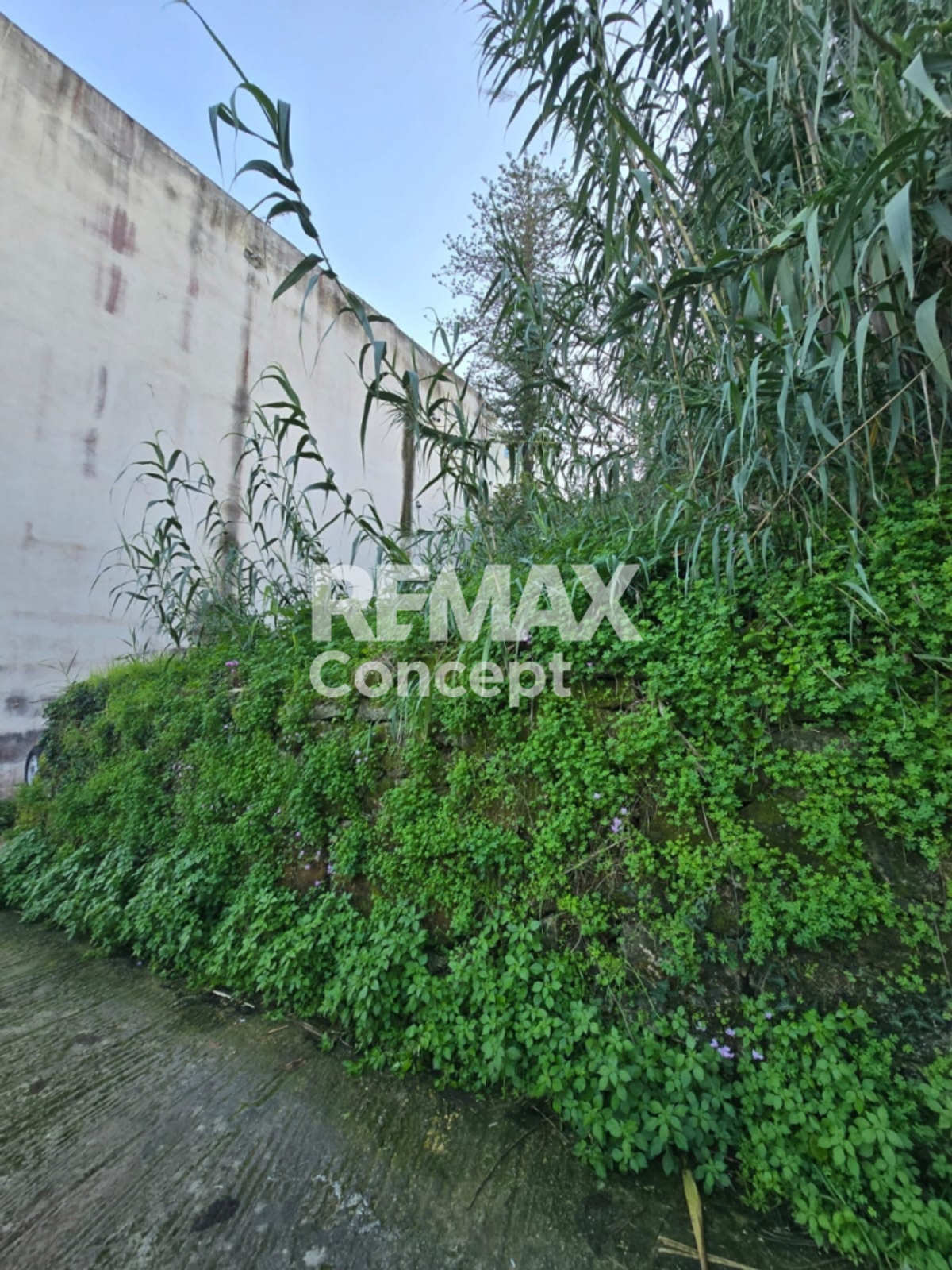 Property thumbnail 3