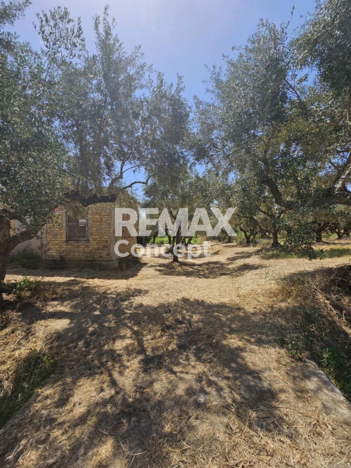 Property thumbnail 3