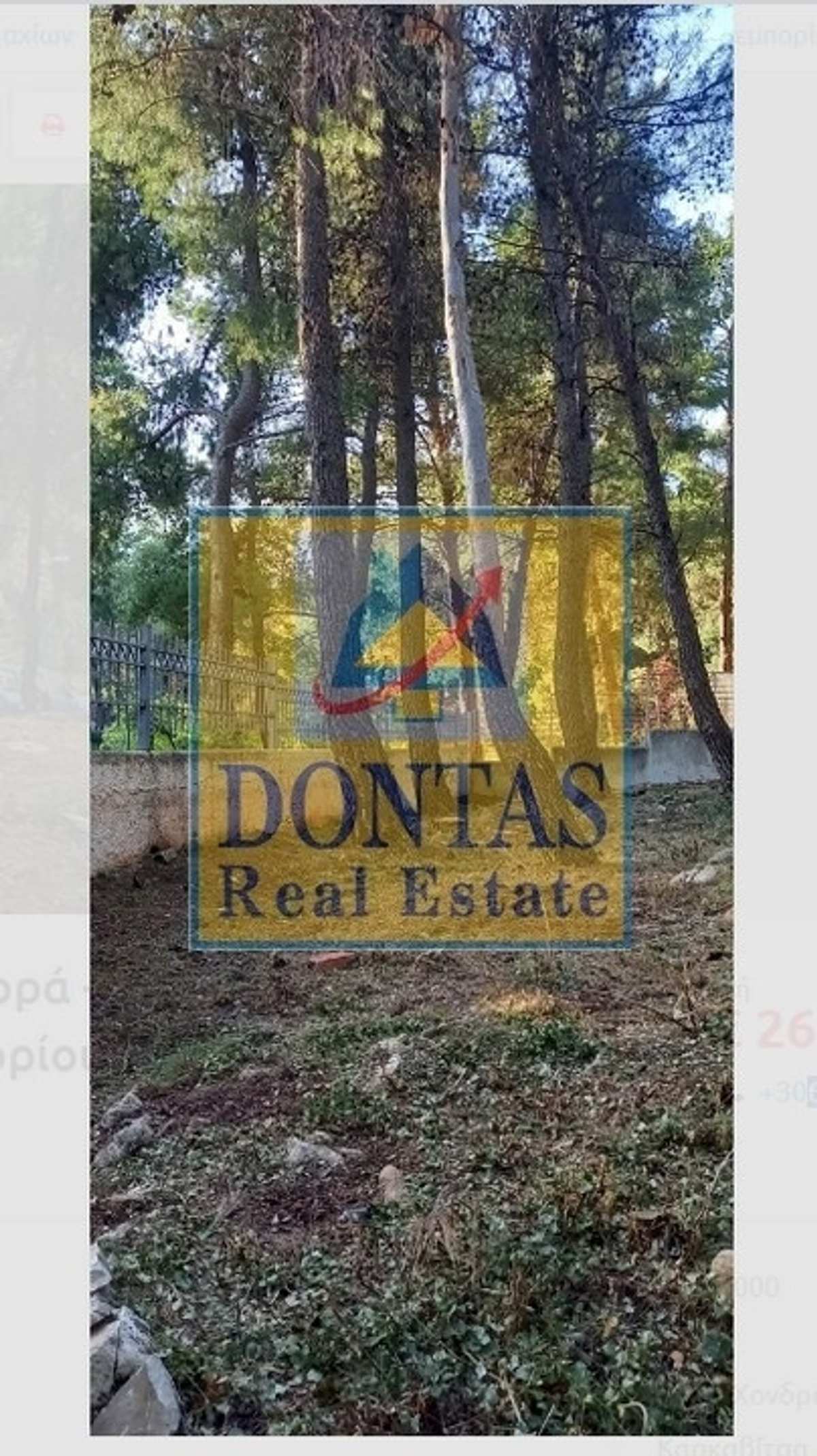 Property thumbnail 4