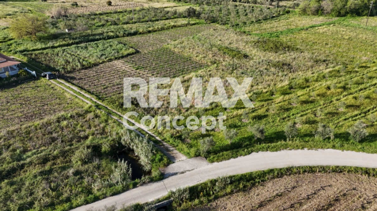Property thumbnail 3