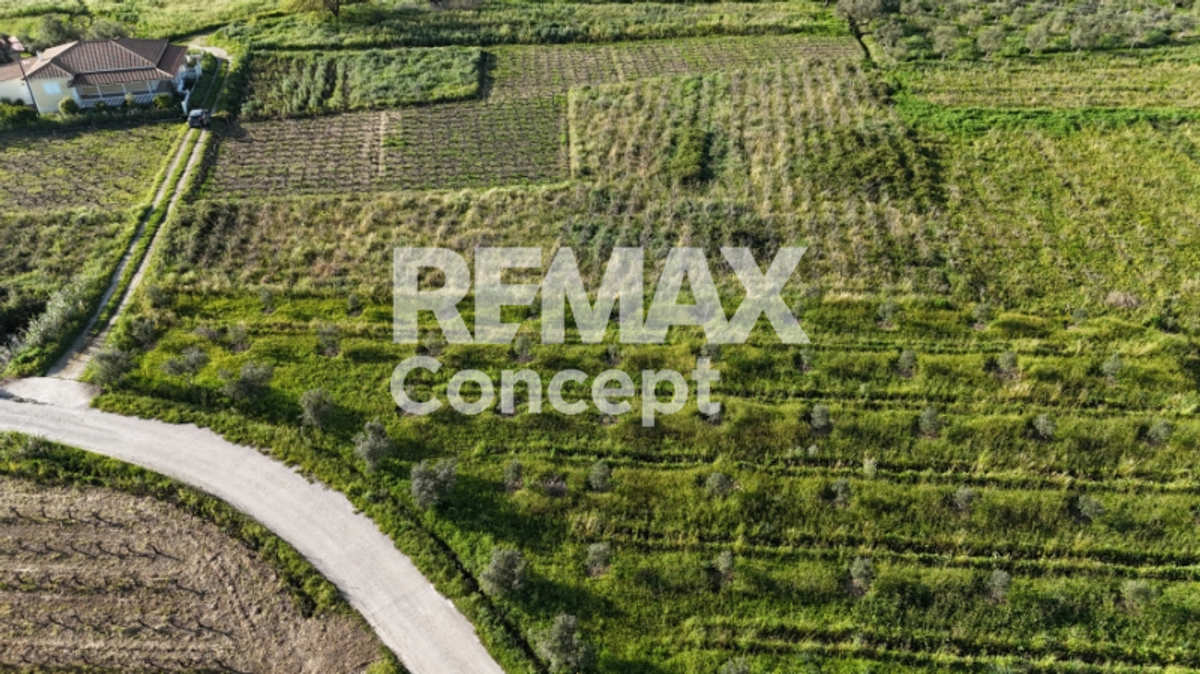 Property thumbnail 2