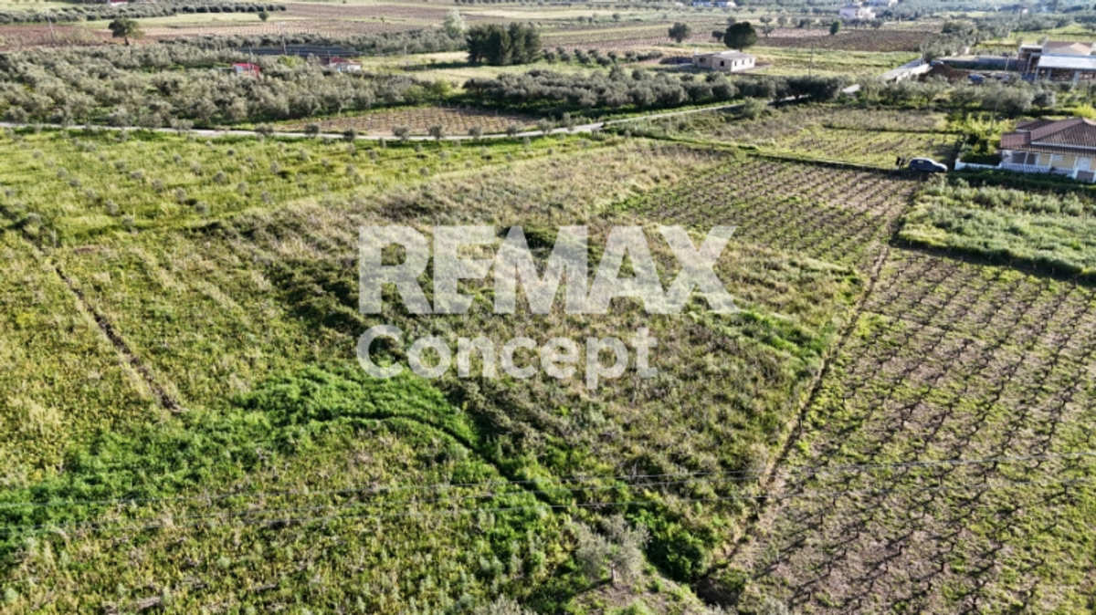 Property thumbnail 4