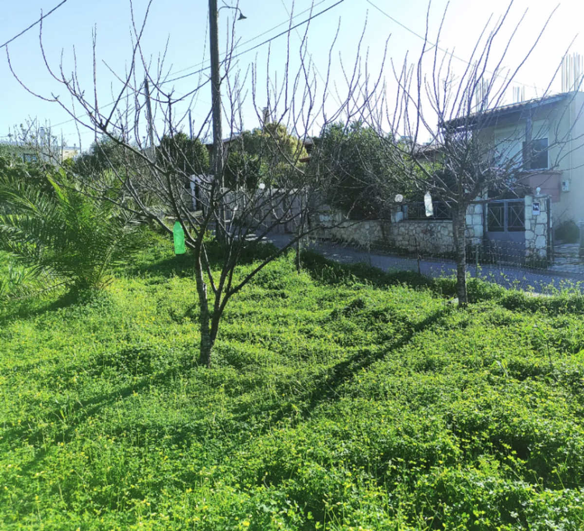 Property thumbnail 4
