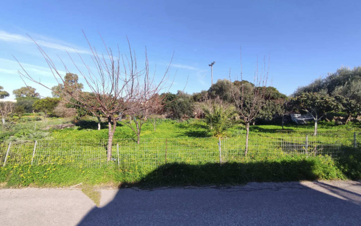 Property thumbnail 3
