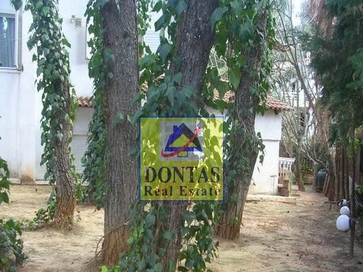Property thumbnail 4