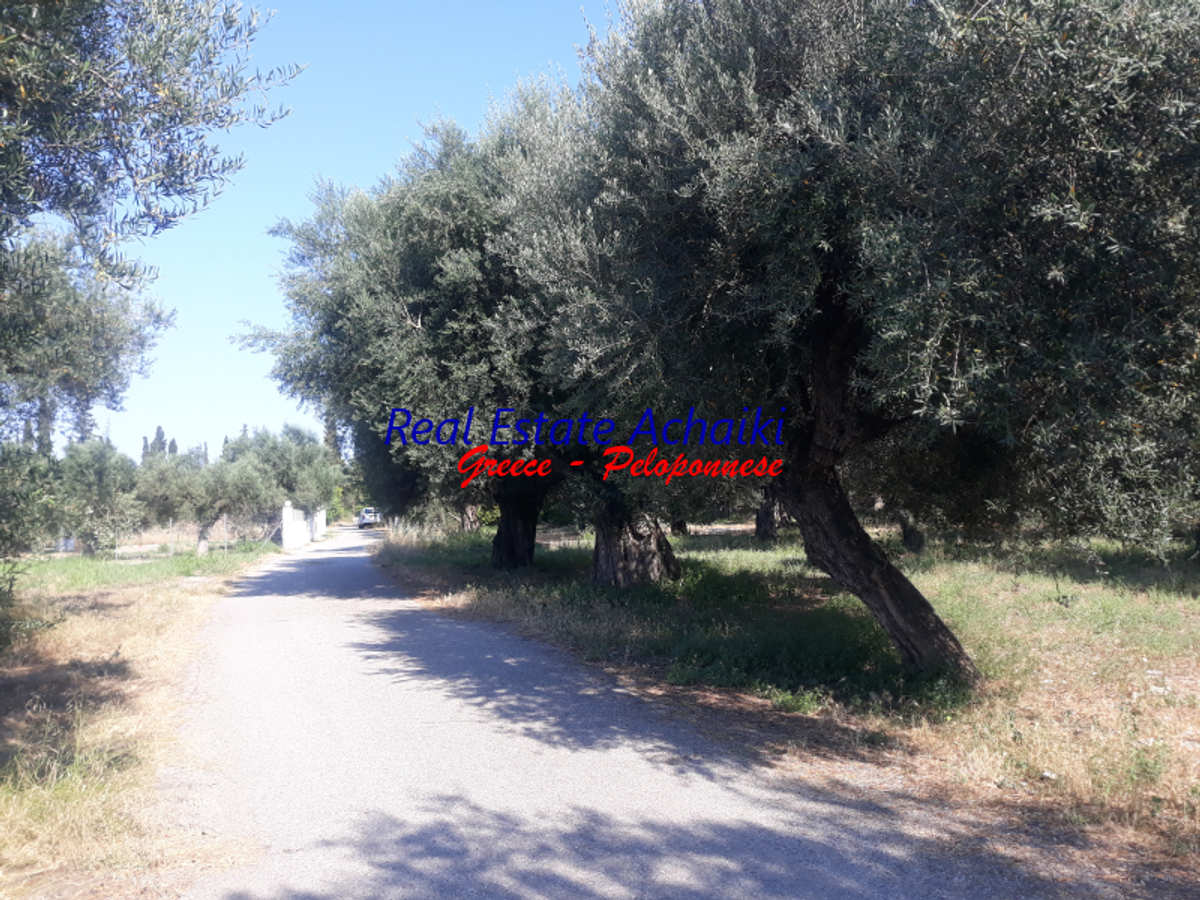 Property thumbnail 2