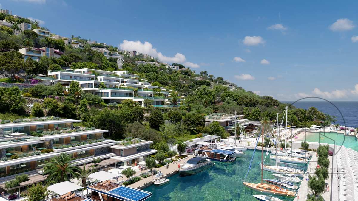 Property thumbnail 3