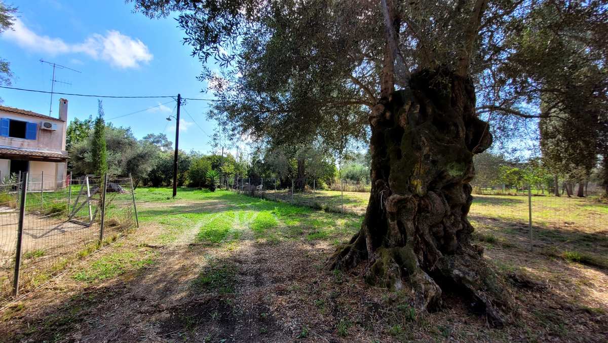Property thumbnail 4