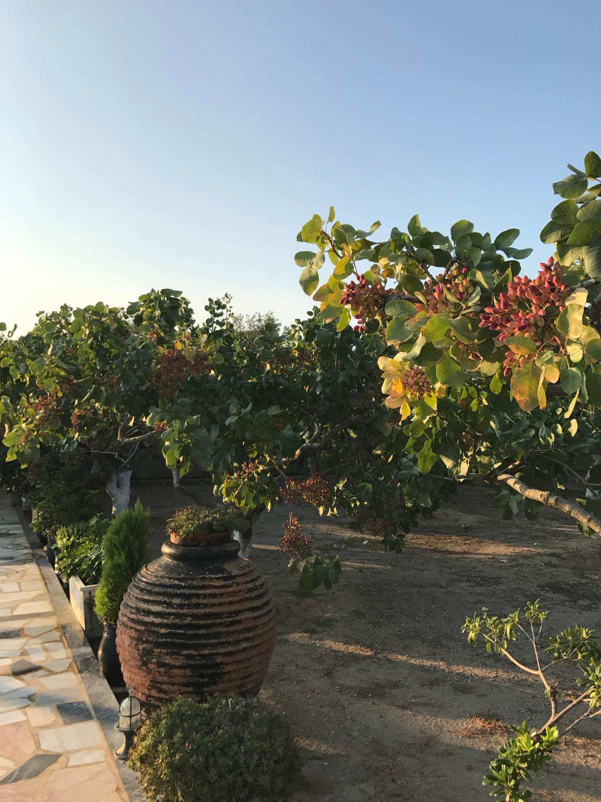Property thumbnail 4