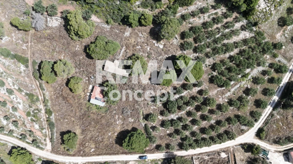 Property thumbnail 4