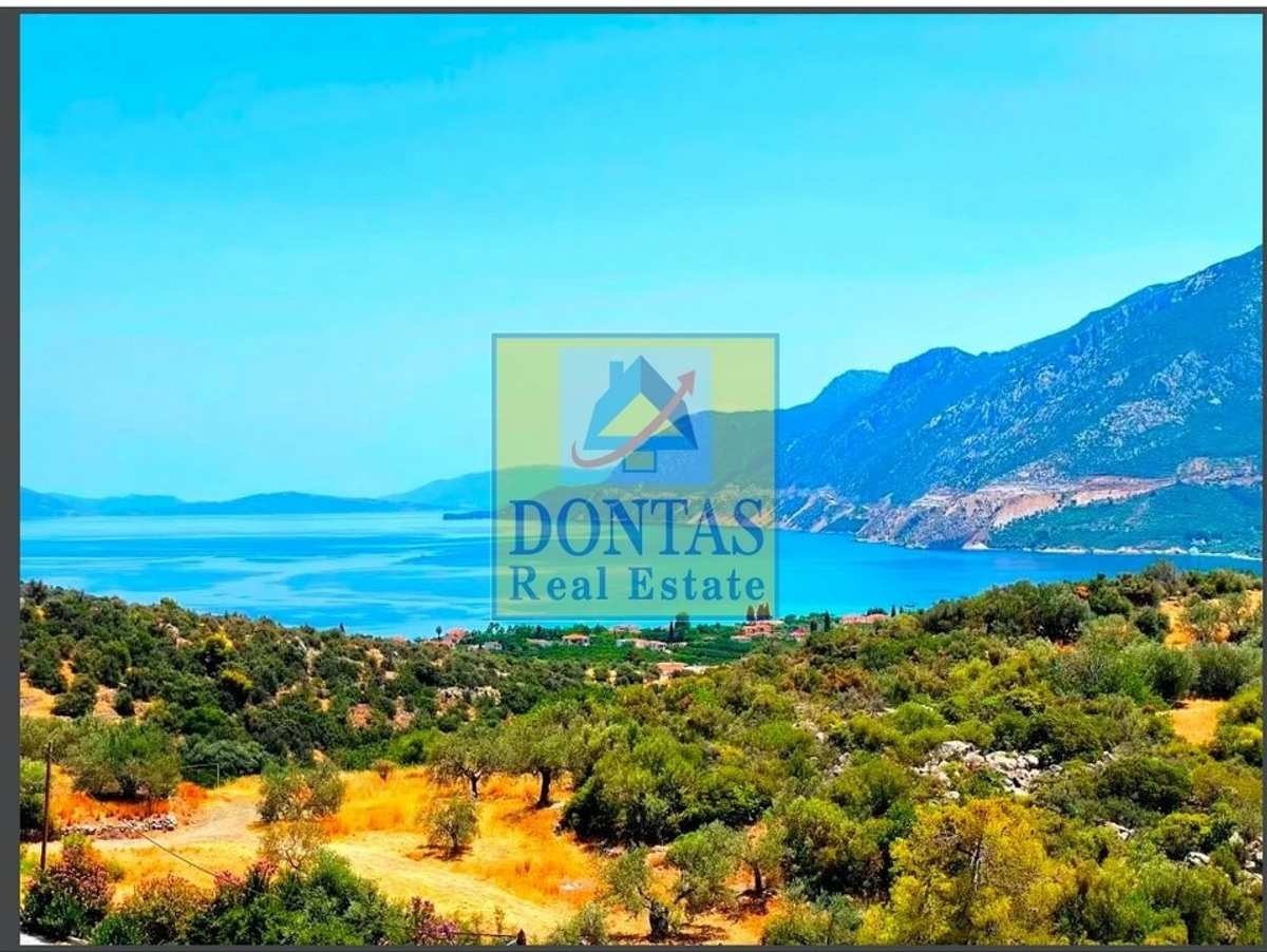 Property thumbnail 4