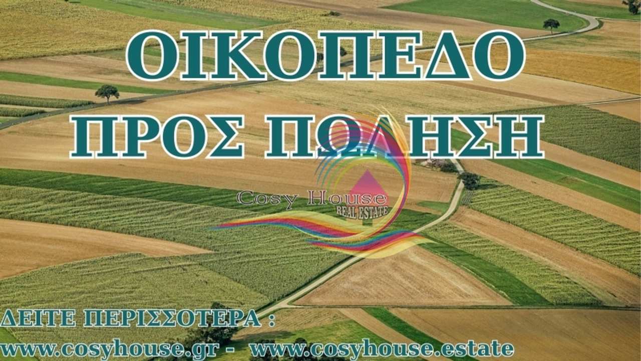 Image 0 of 1