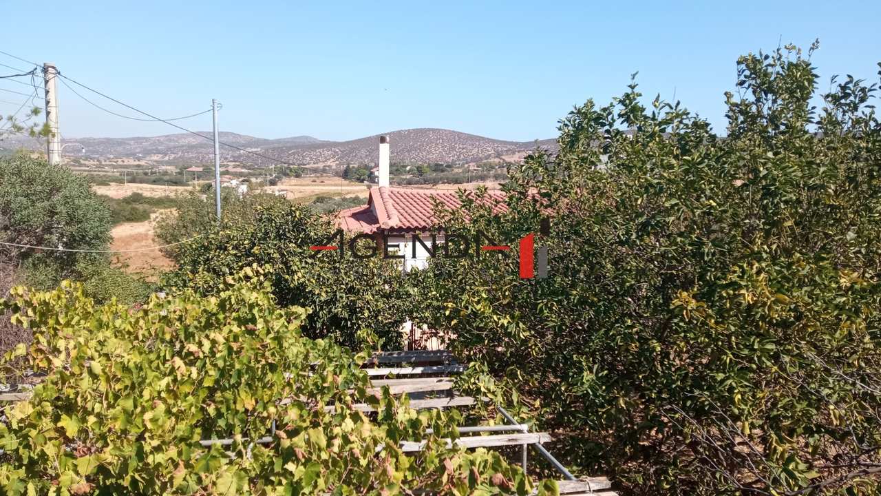 Image 0 of 22