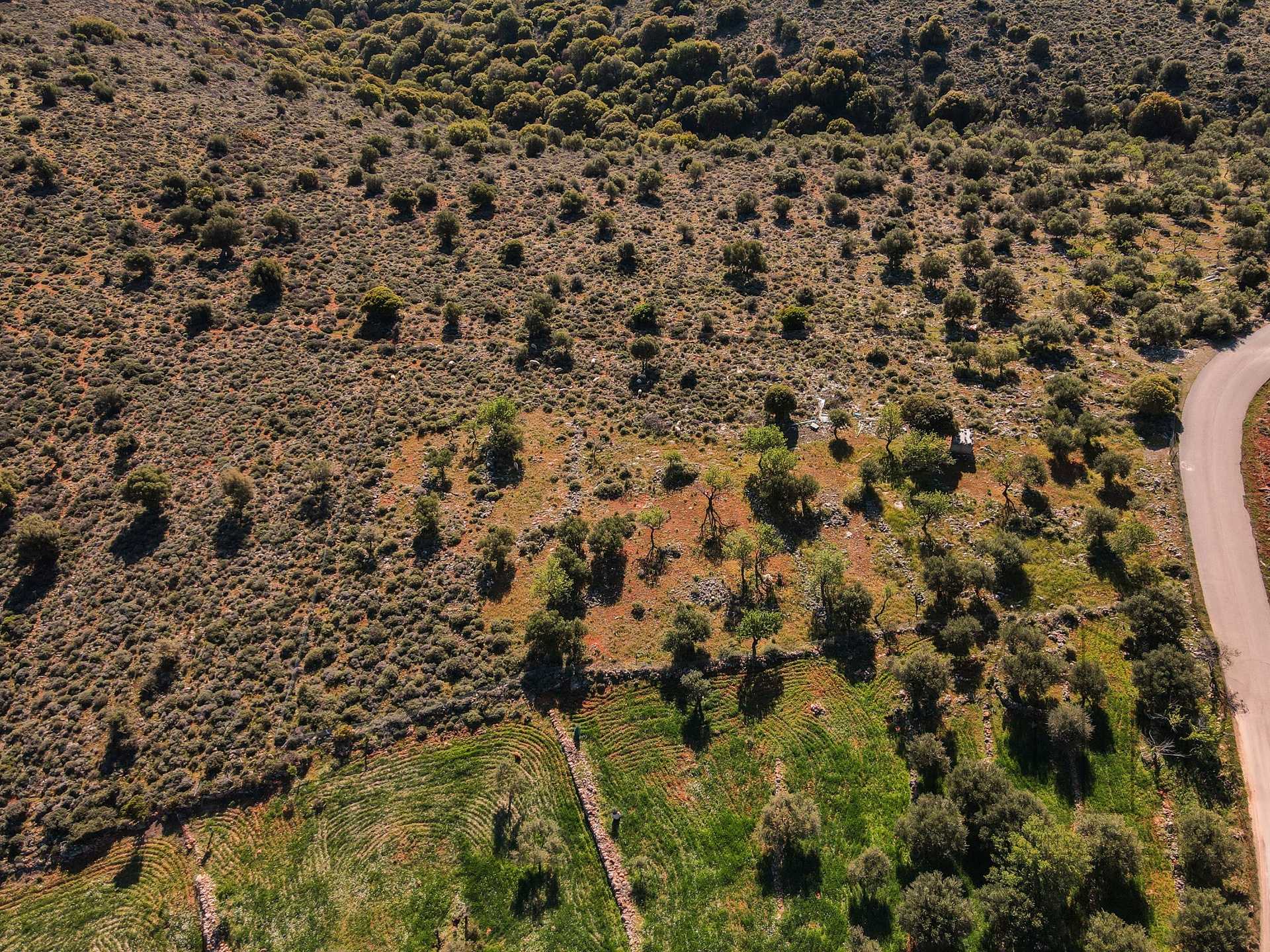 Property thumbnail 4