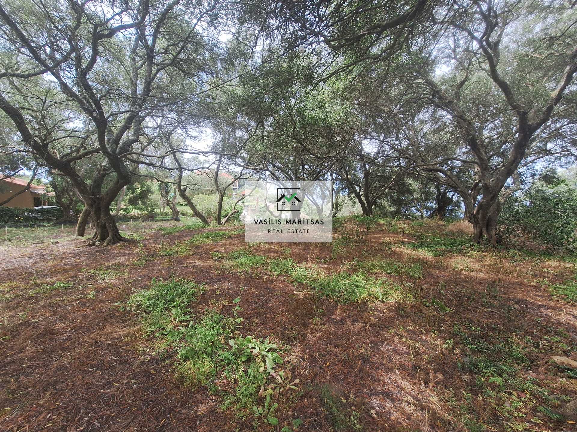 Property thumbnail 3