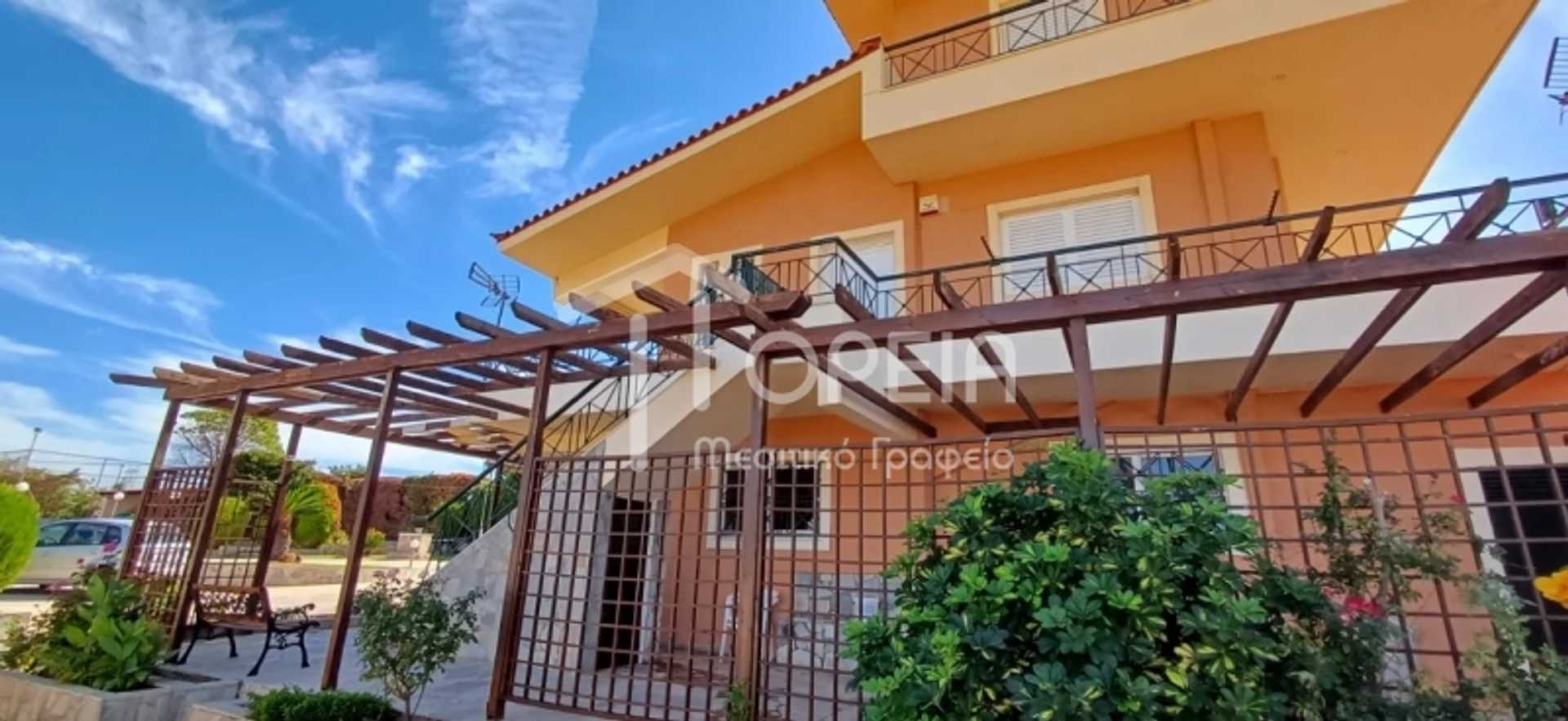 Property thumbnail 4