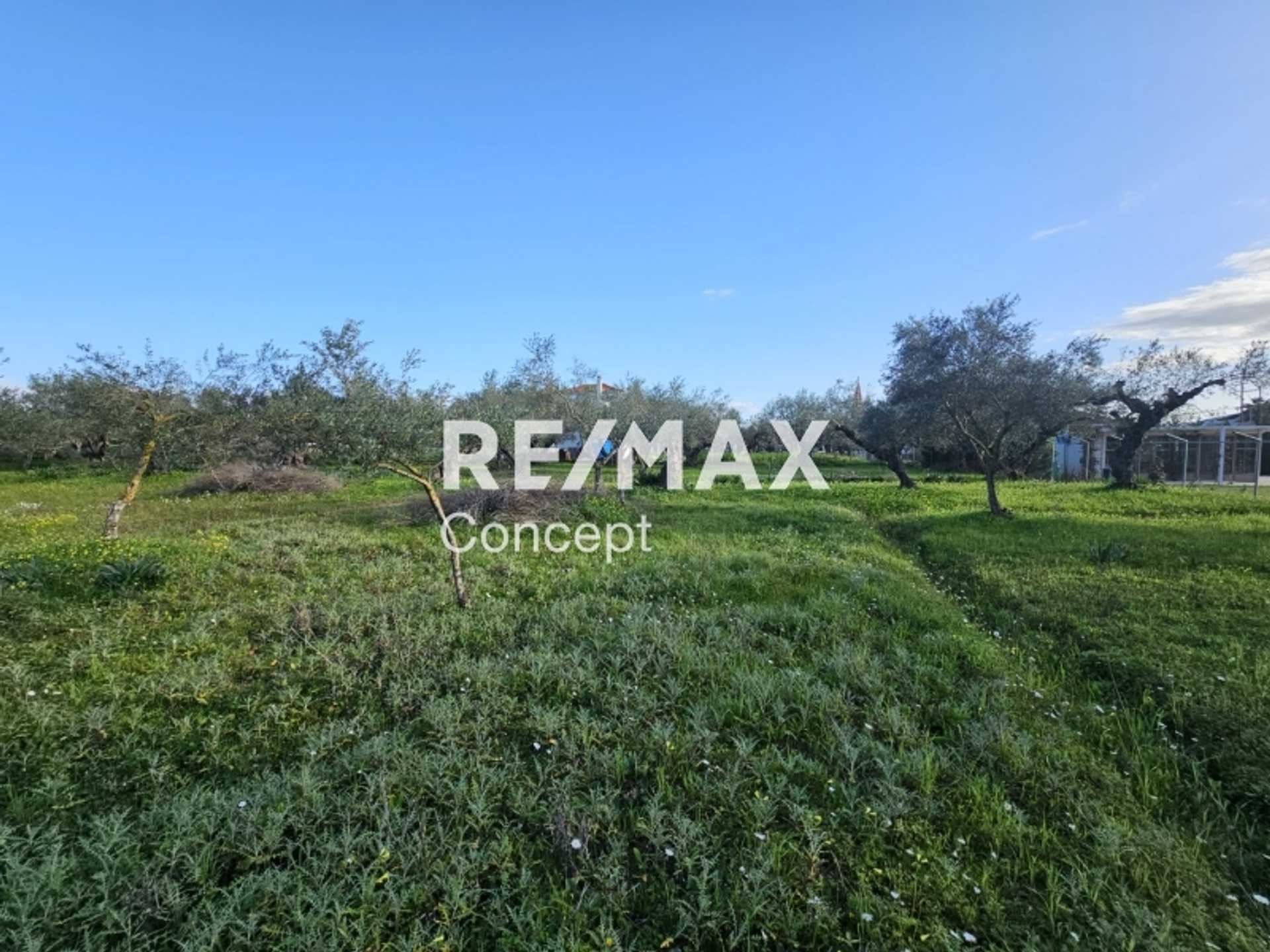 Property thumbnail 3