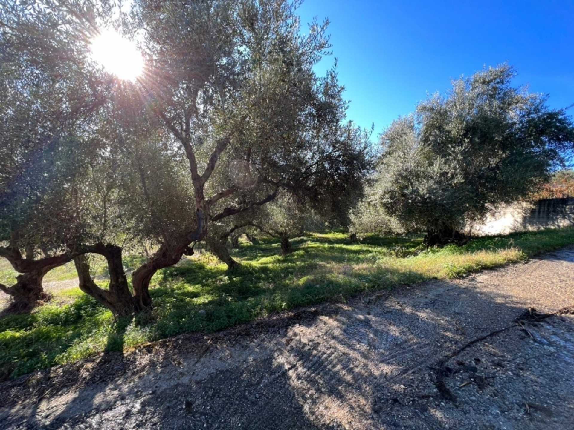 Property thumbnail 4