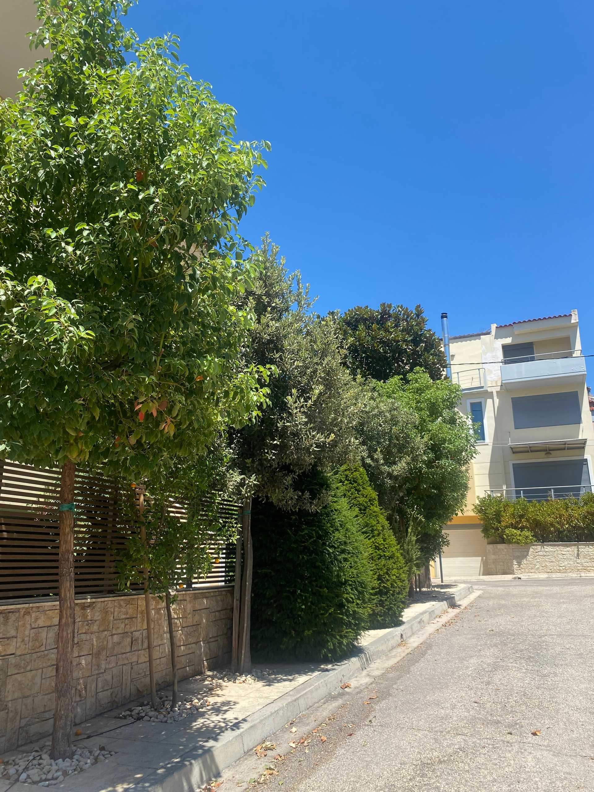 Property thumbnail 3