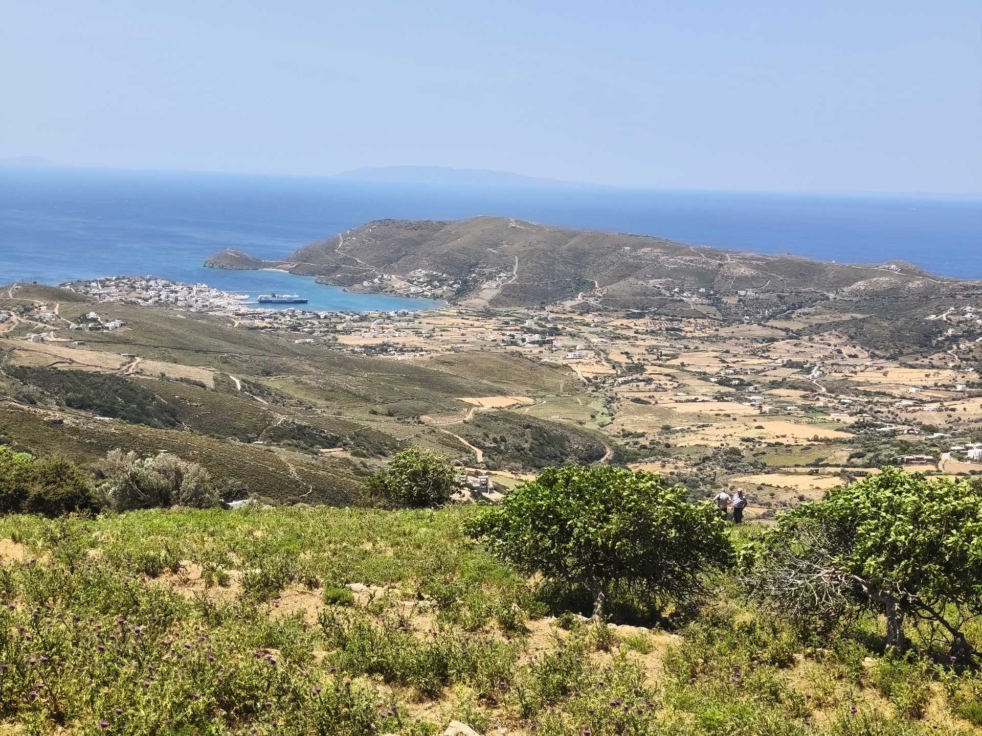 Property thumbnail 3