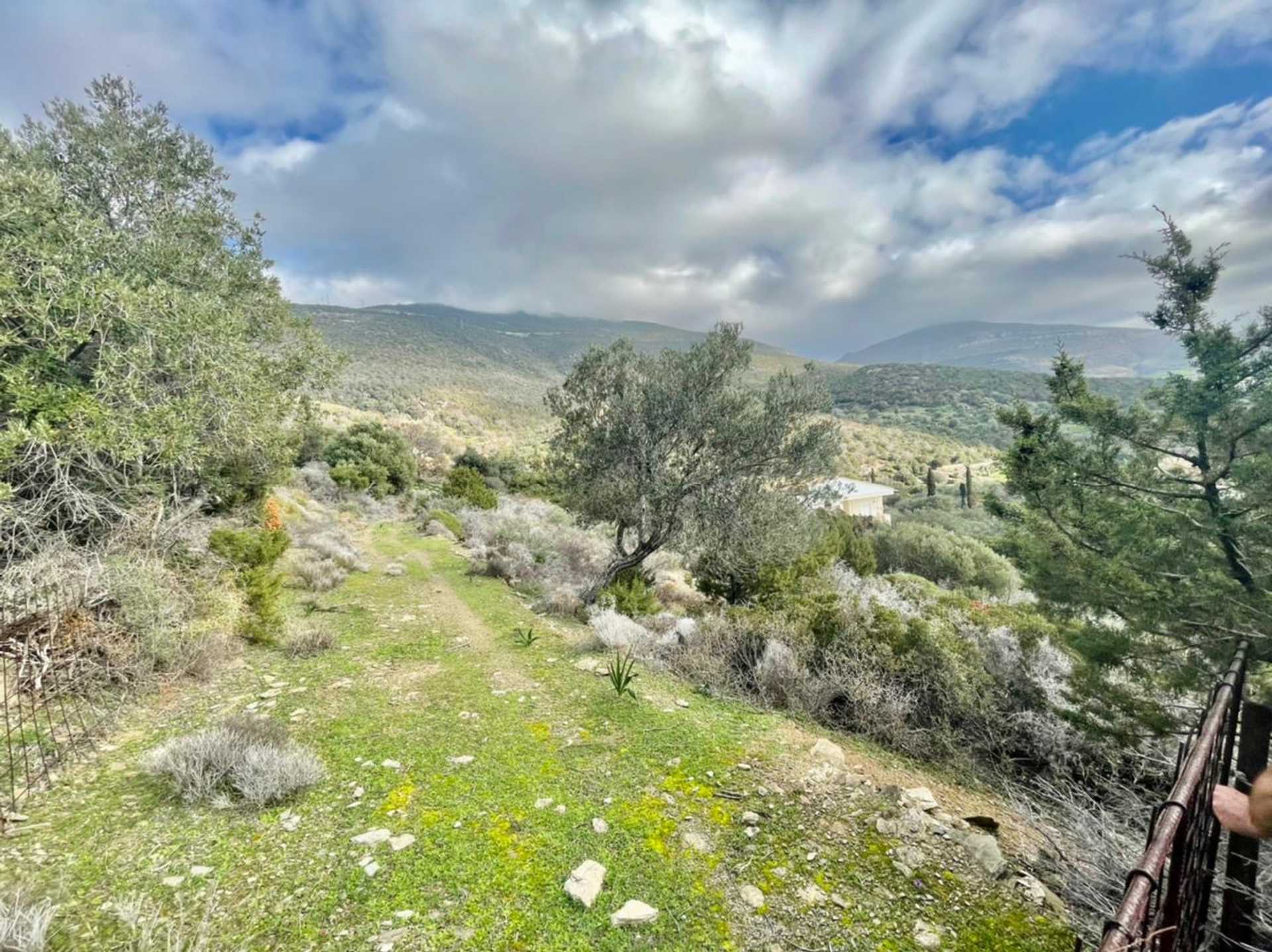 Property thumbnail 3