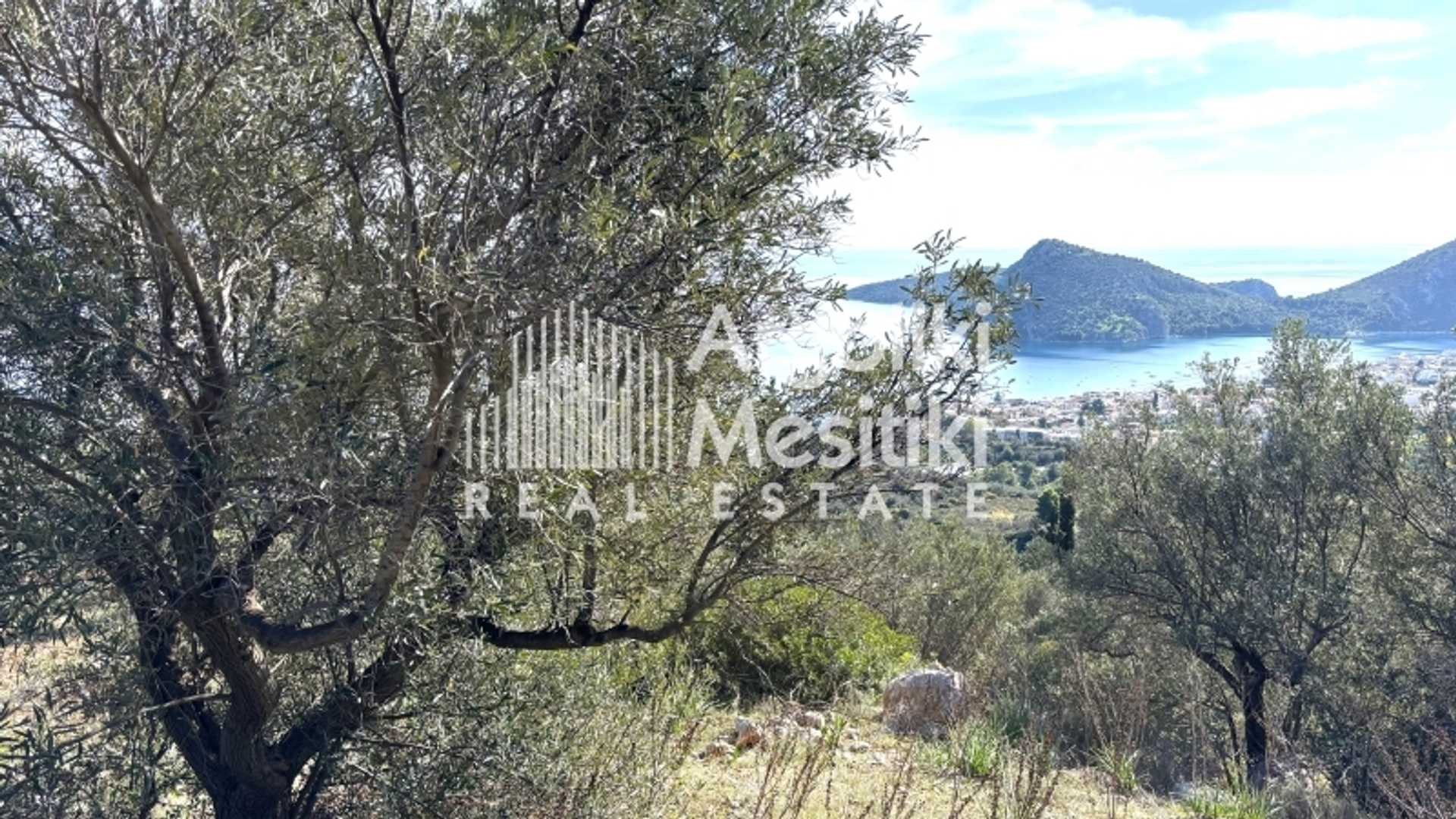 Property thumbnail 3