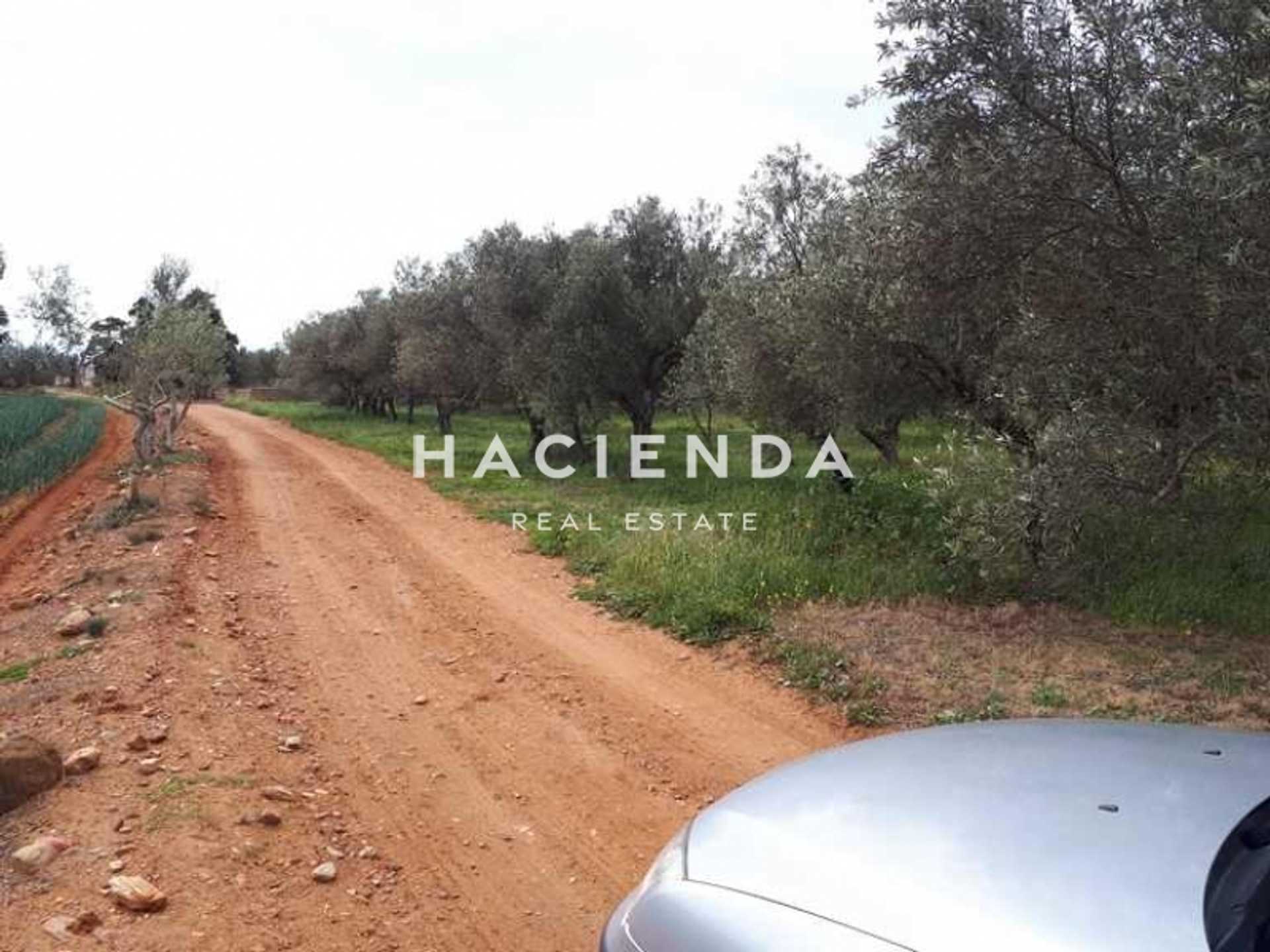 Property thumbnail 4