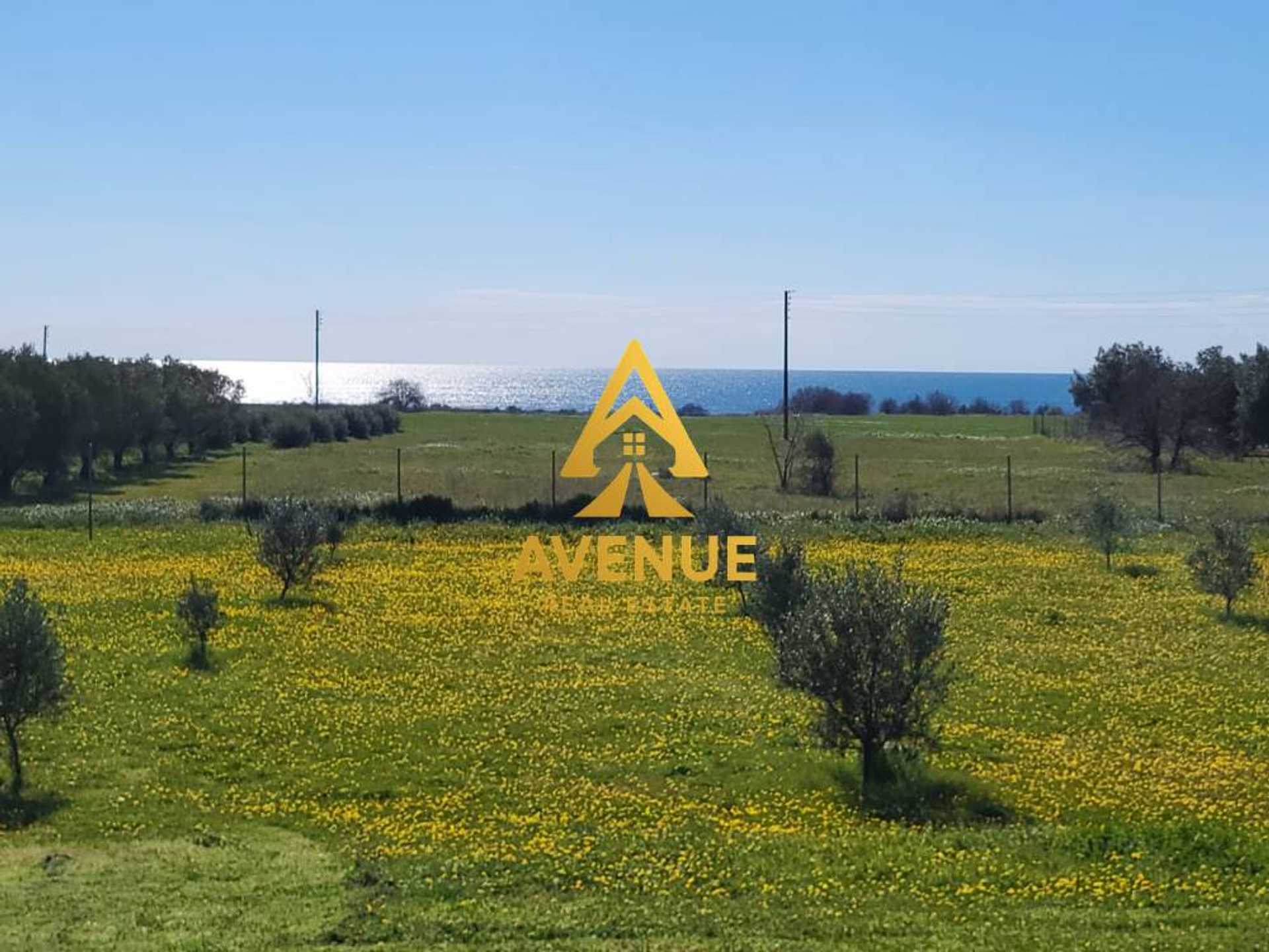 Property thumbnail 2