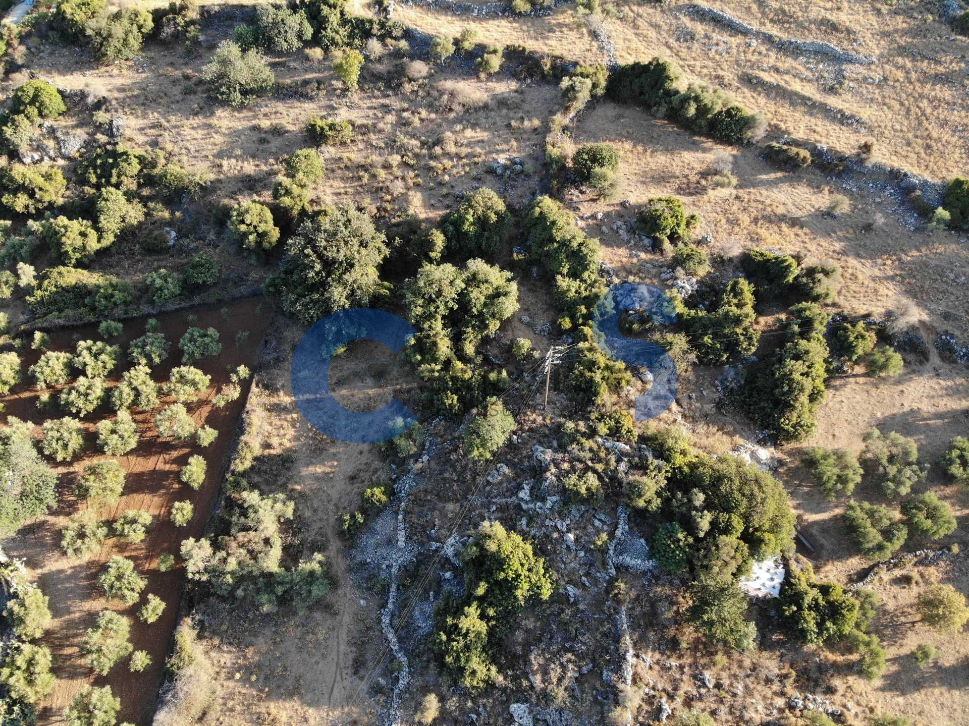 Property thumbnail 3