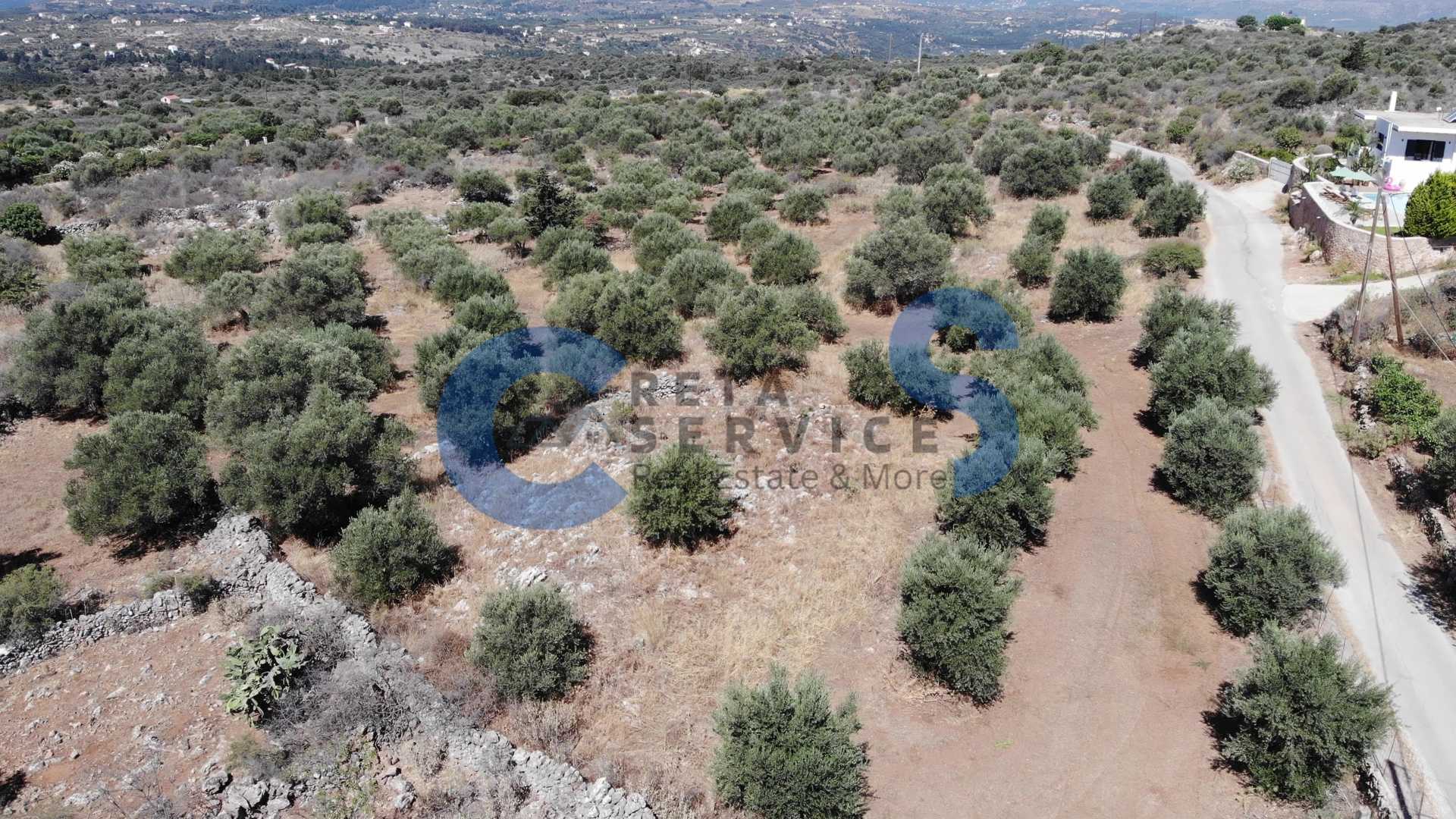 Property thumbnail 2