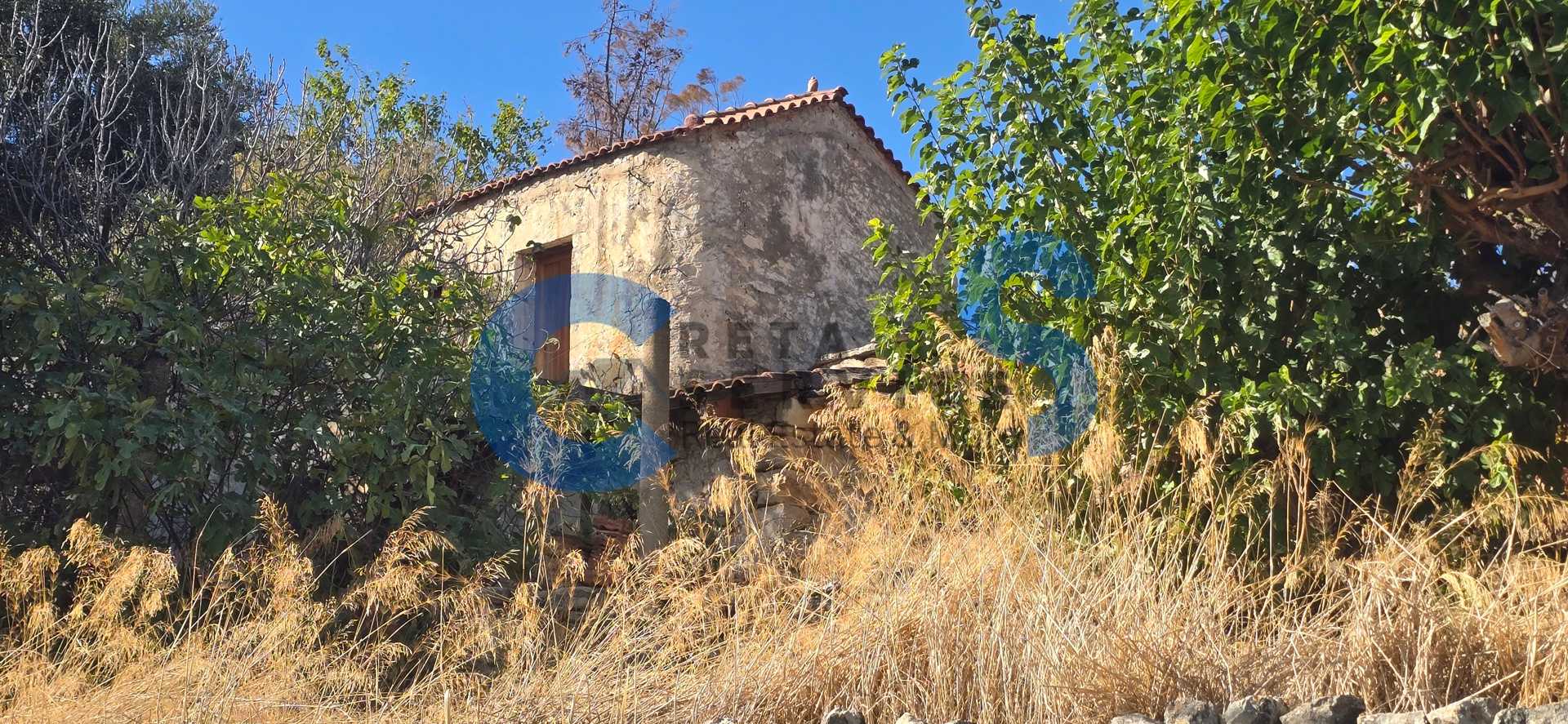 Property thumbnail 2