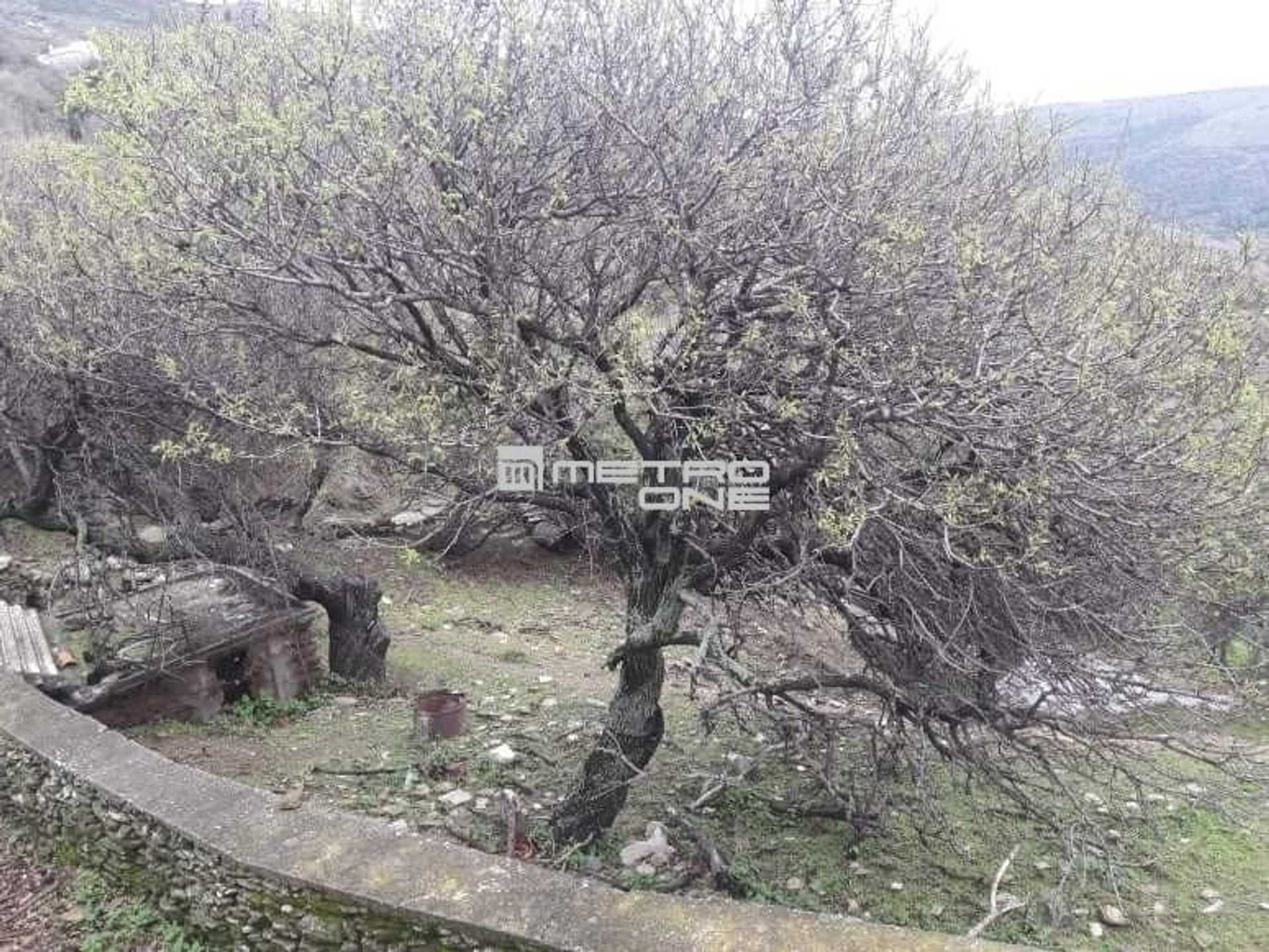 Property thumbnail 2