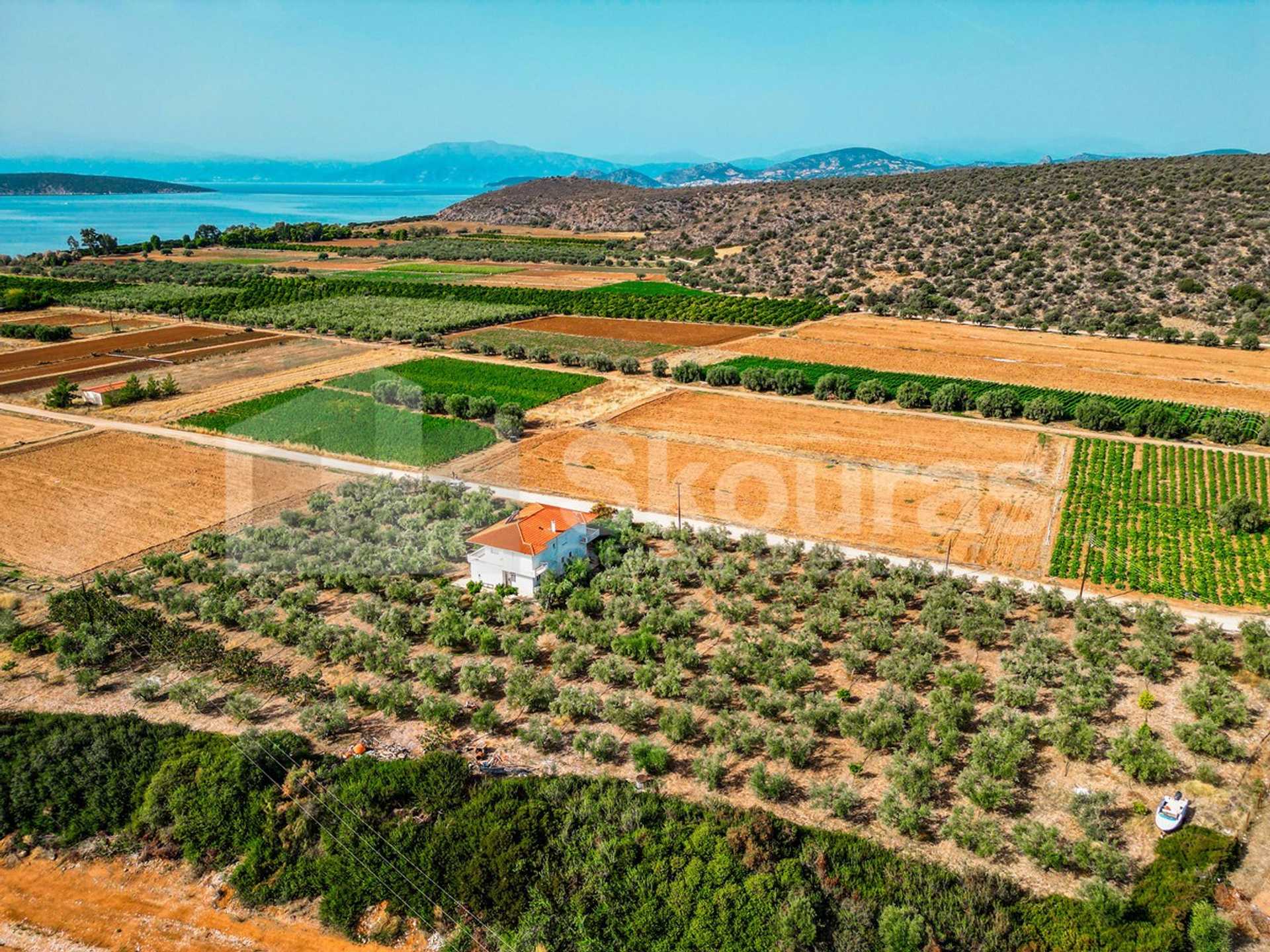 Property thumbnail 4