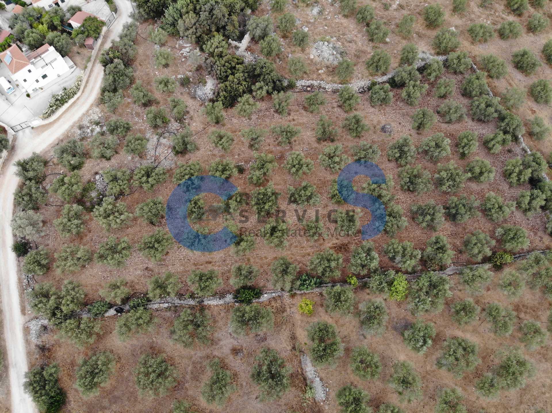 Property thumbnail 3