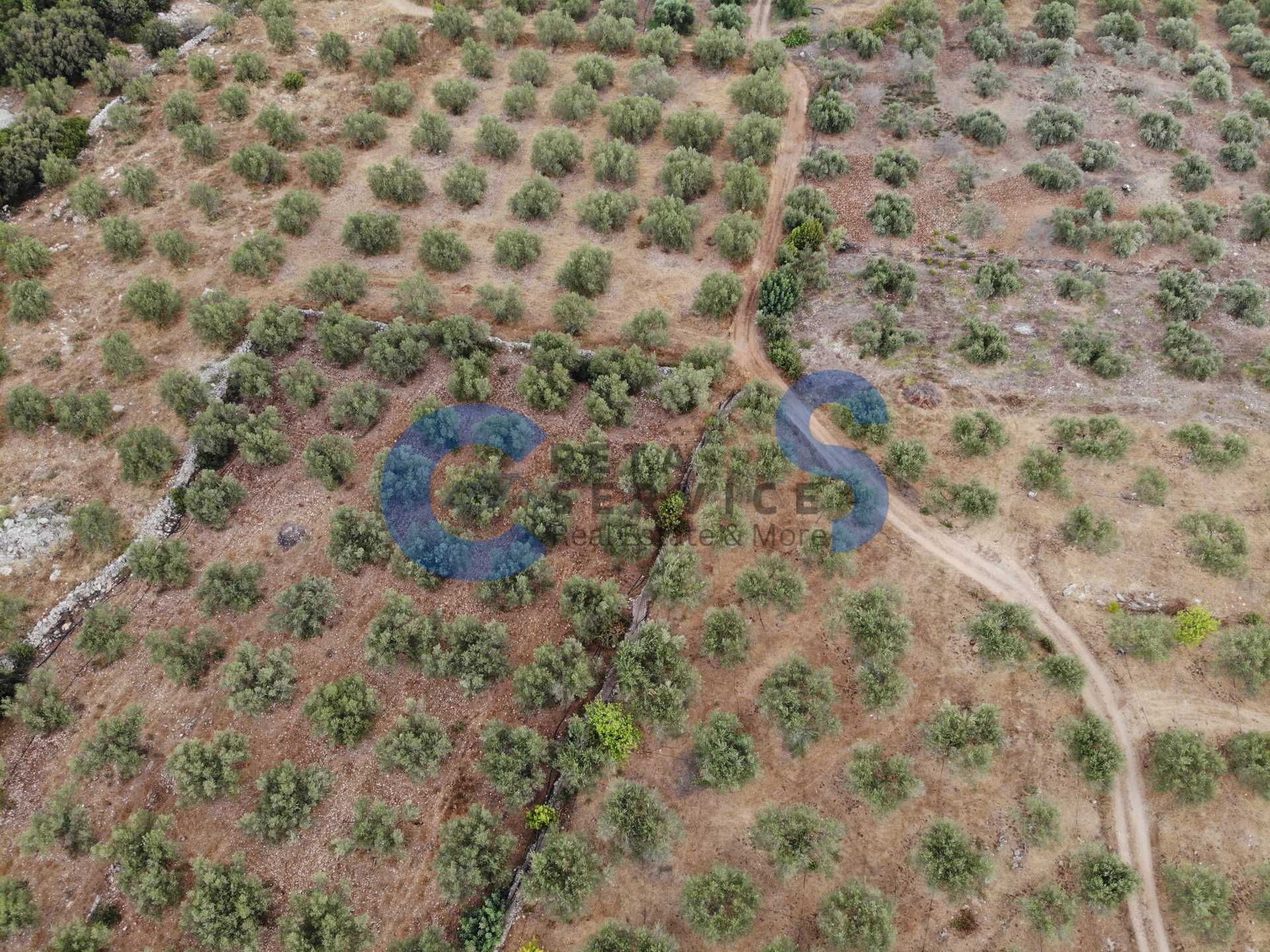 Property thumbnail 4