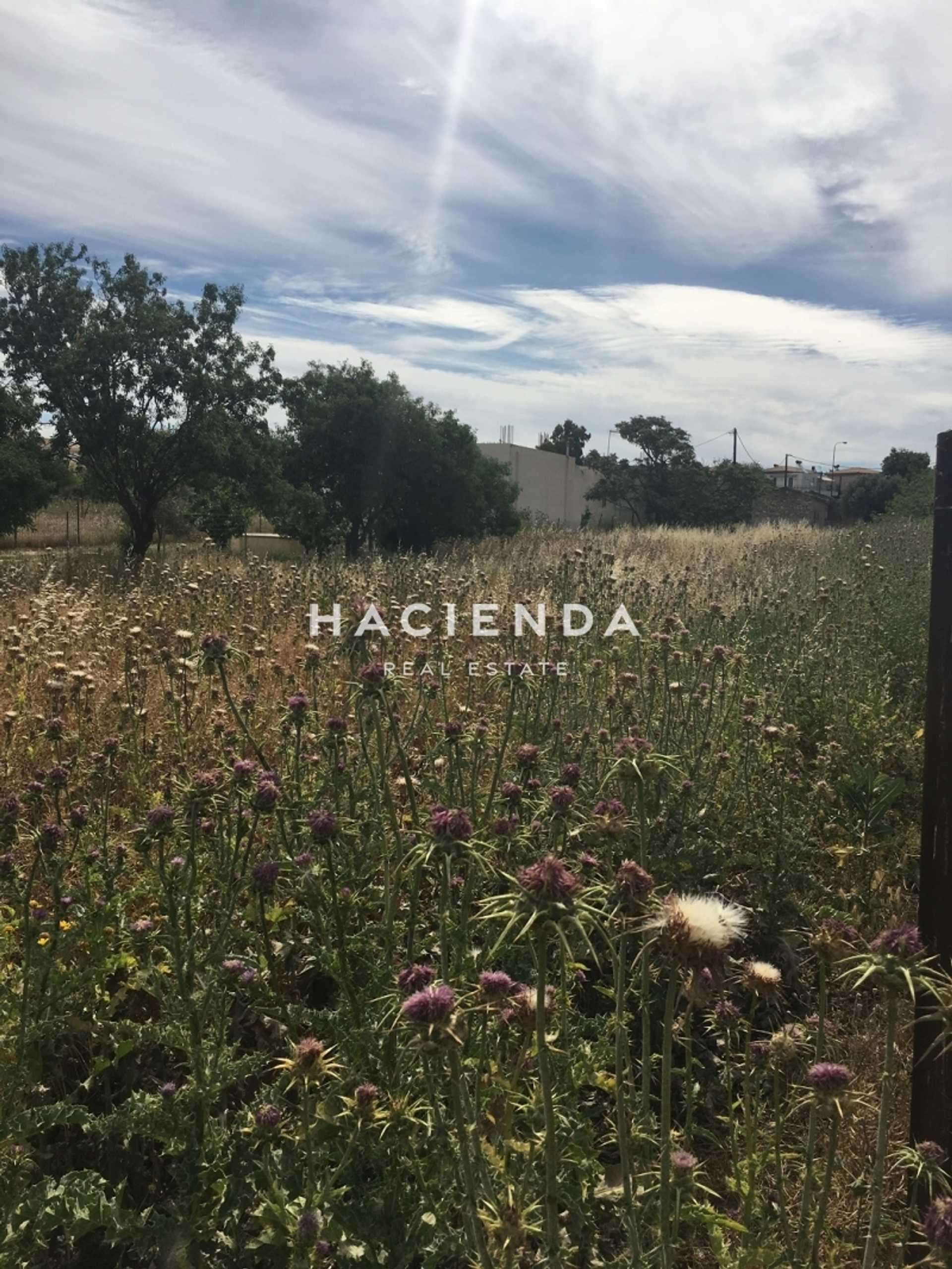 Property thumbnail 4