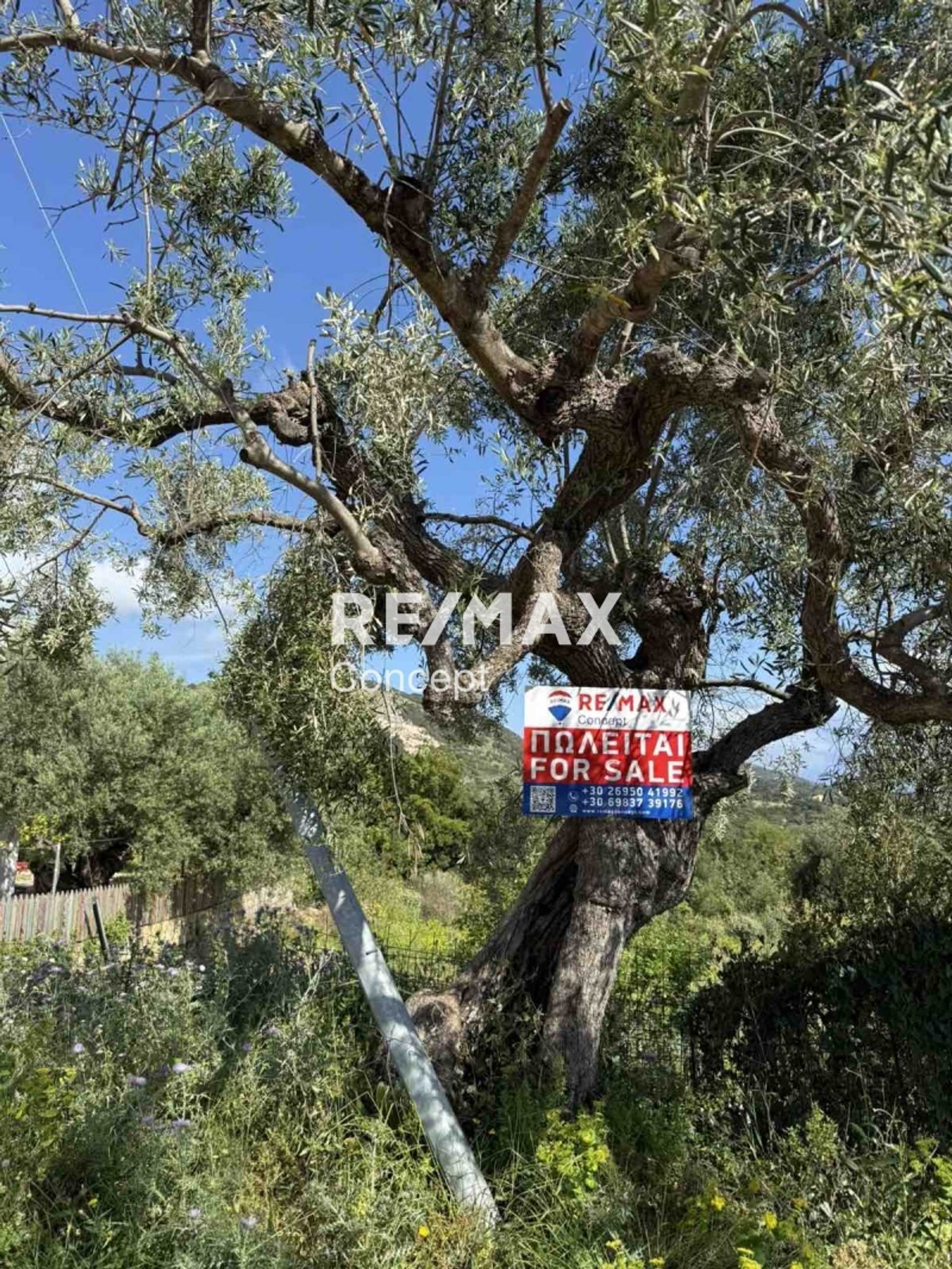 Property thumbnail 4