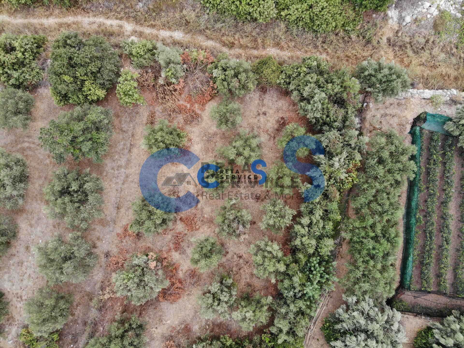 Property thumbnail 4