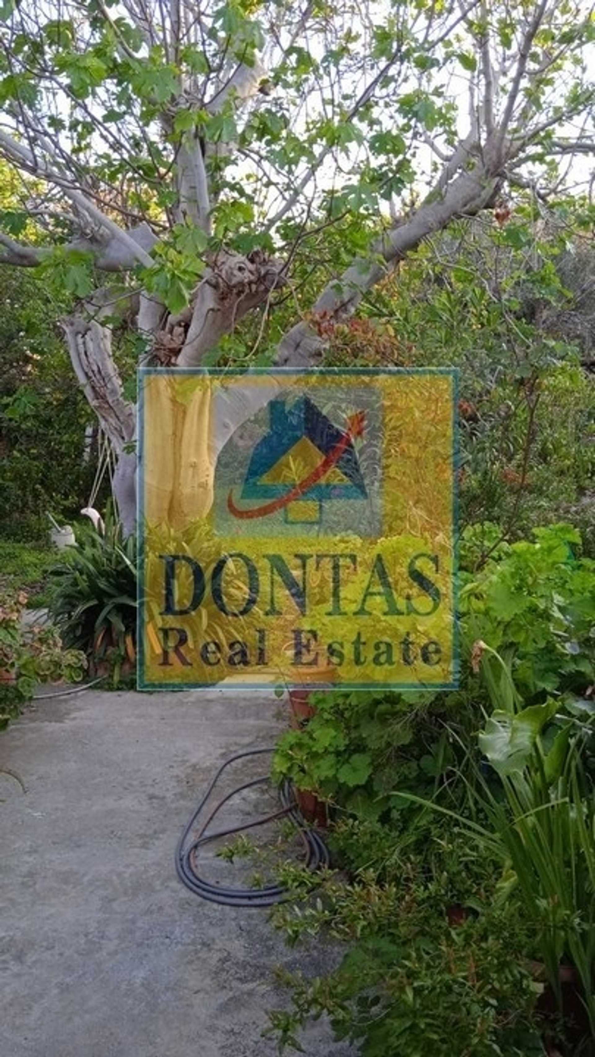 Property thumbnail 2