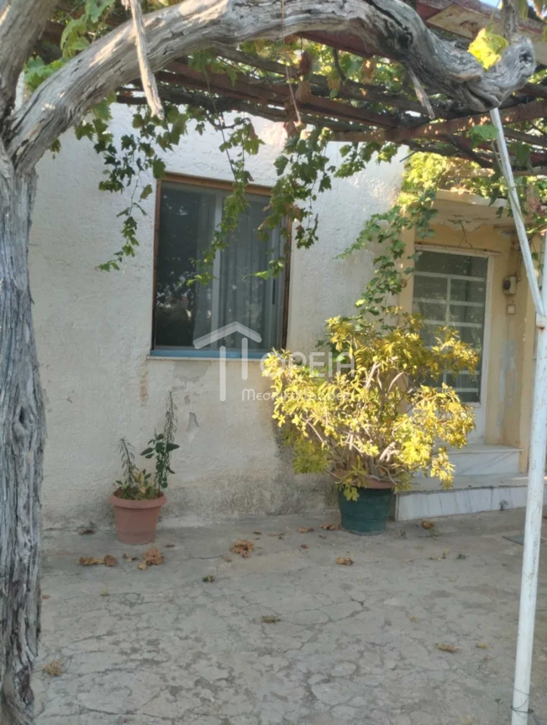 Property thumbnail 2