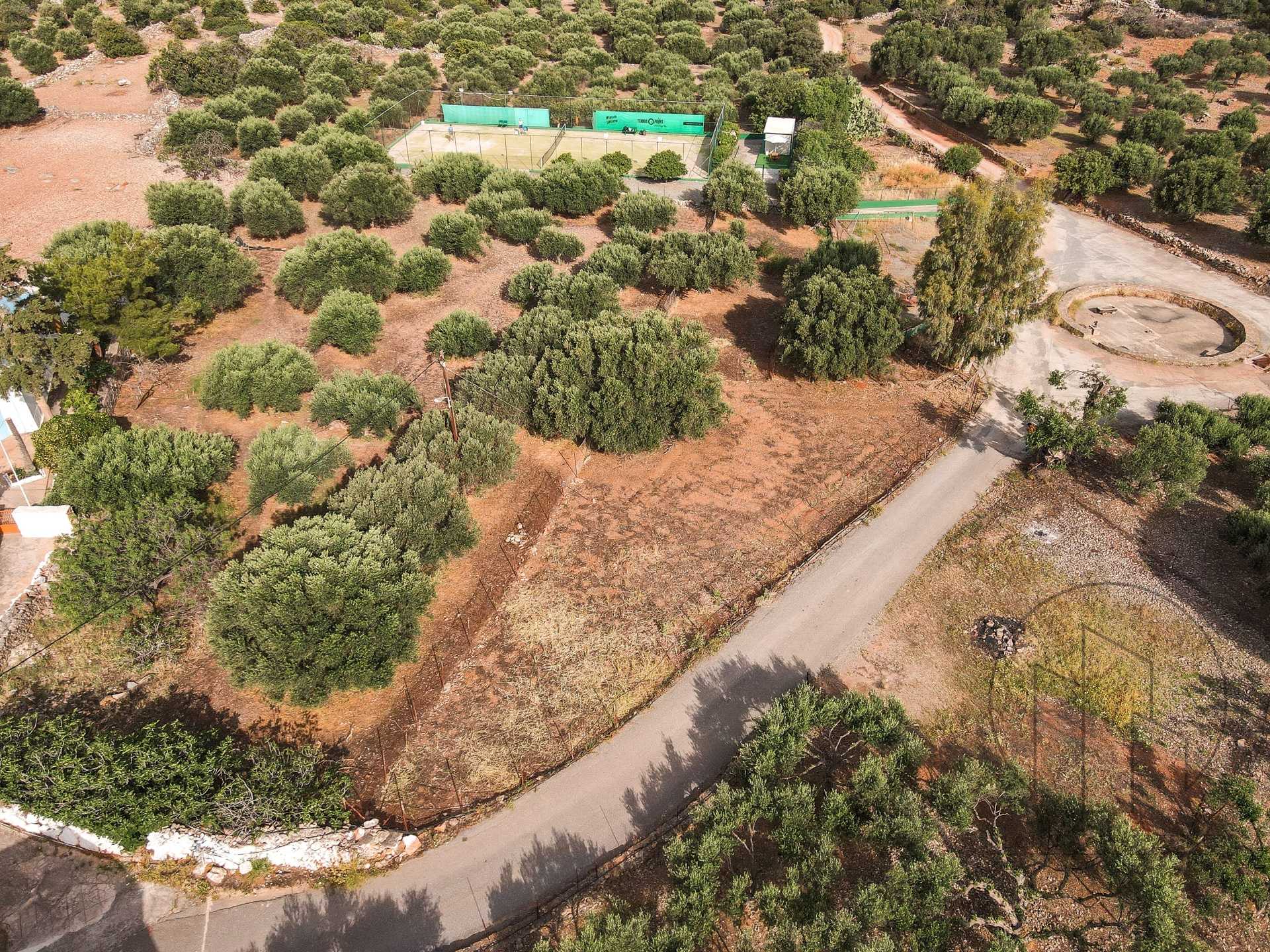 Property thumbnail 3