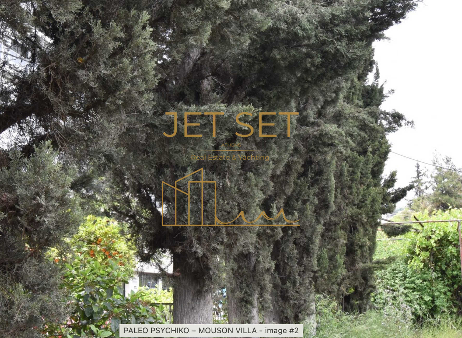 Property thumbnail 3