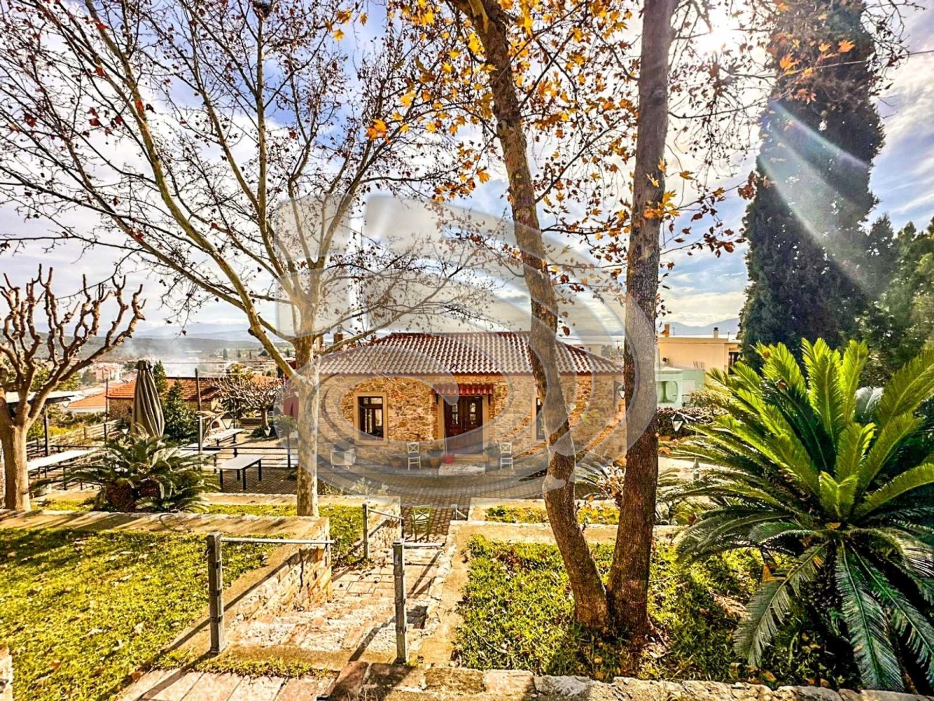 Property thumbnail 4