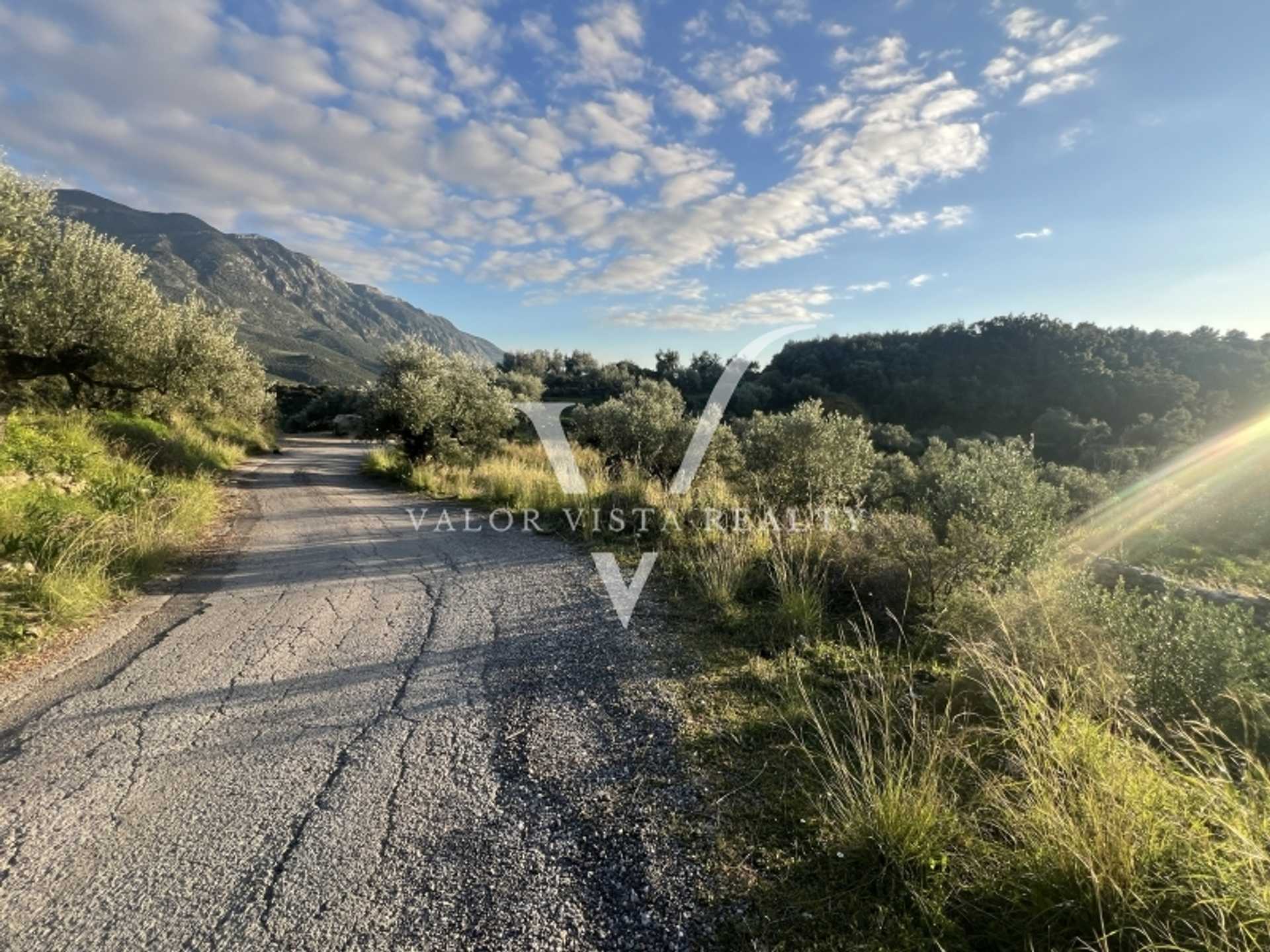 Property thumbnail 4