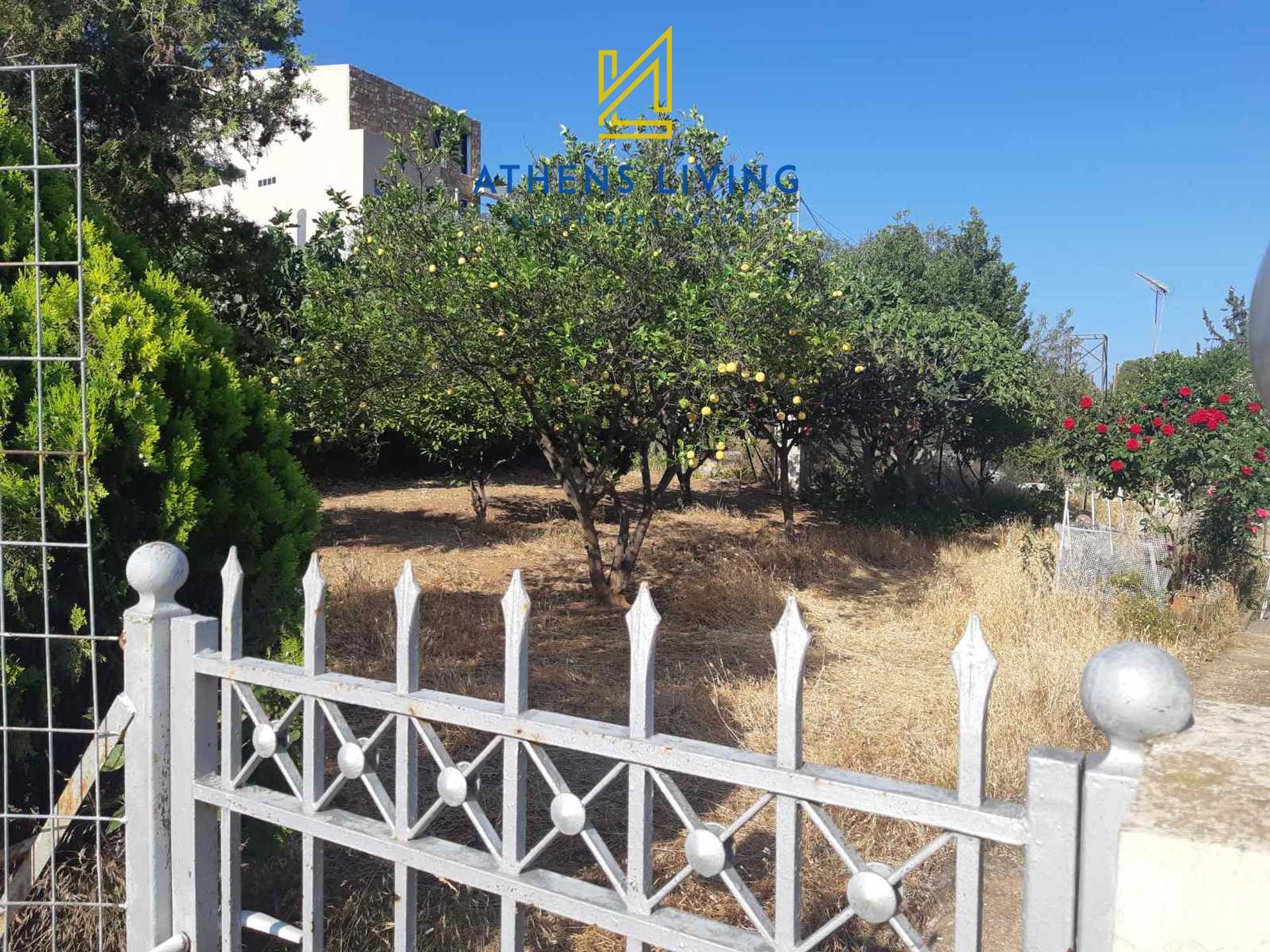 Property thumbnail 3